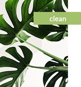 mslb-clean-image