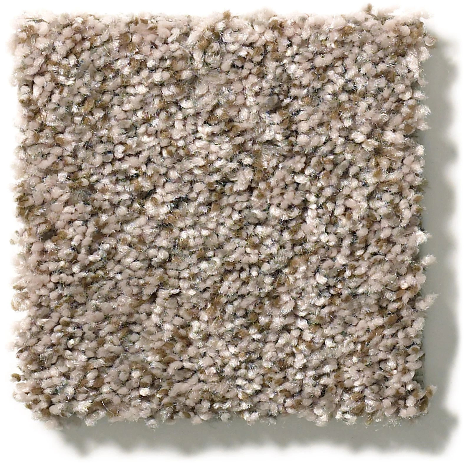 CABANA LIFE (B) SUMMER WIND SWATCH