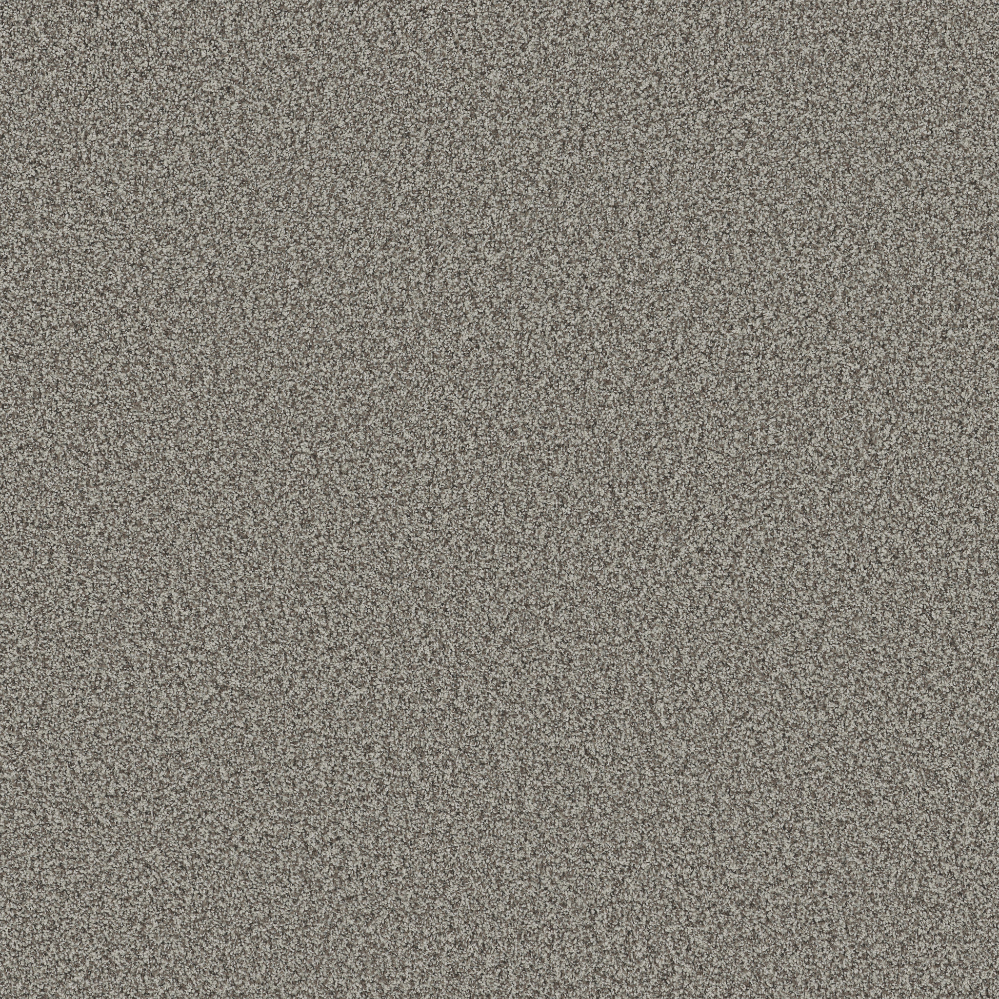 BELLA NOVA CHELSEA FOG MAIN