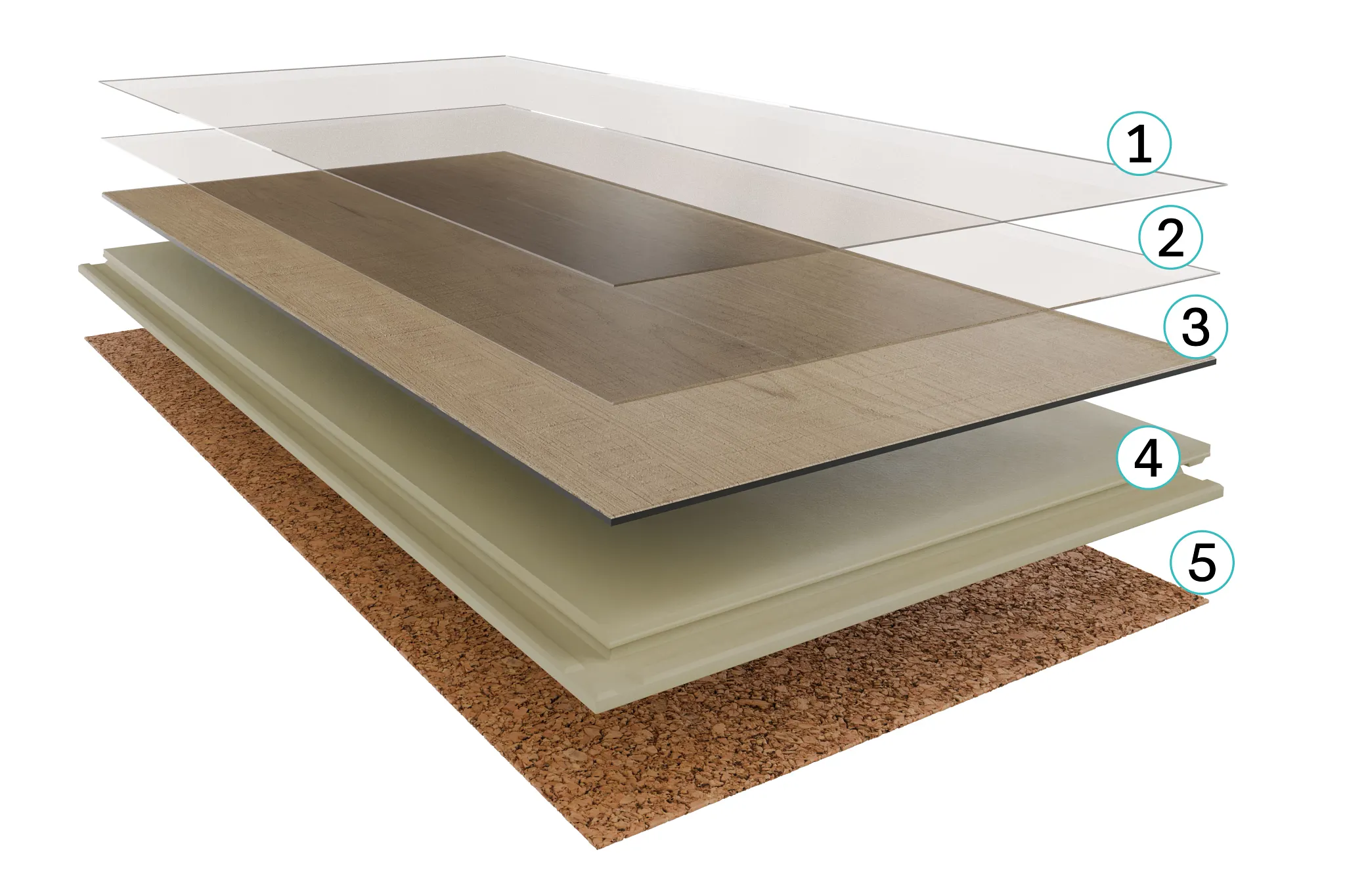 Cross-section view of luxury vinyl plank flooring showcasing multiple layers including a protective top layer, realistic wood look design, and cork underlayment for enhanced comfort and sound absorption