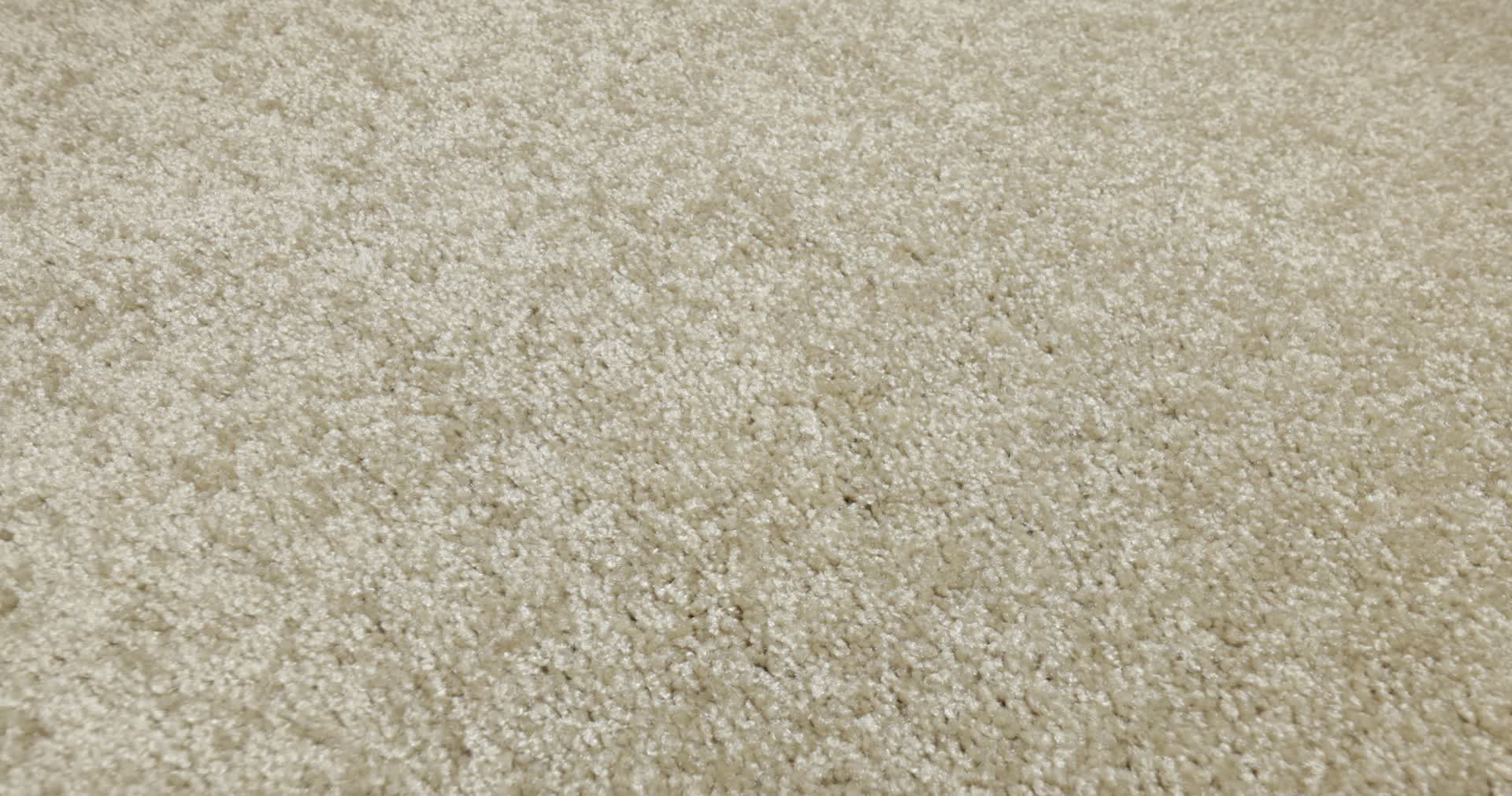 PARLAY GALLERY 360PROD