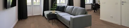 Contemporary Living Room with Dark Wood Flooring and Grey Sofa Modern living room with large windows, grey sectional sofa, and dark wood flooring