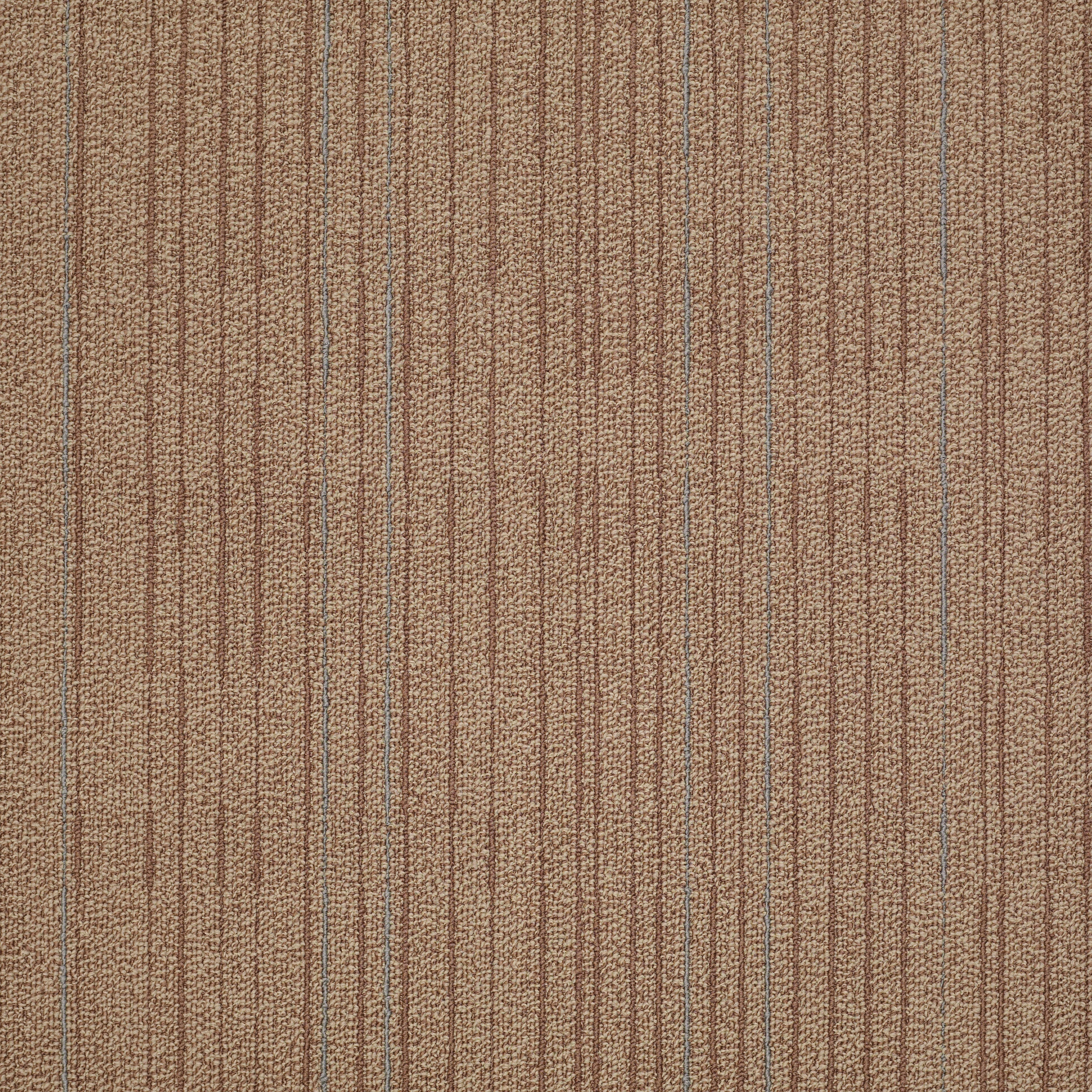 IMMERSE-J0187-INTENSIFY-87205-main-image