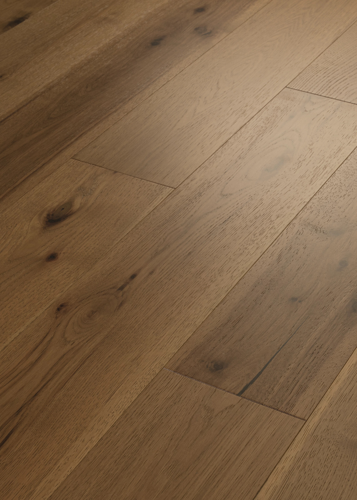 TRANSCENDENCE ASCENT ANGLED