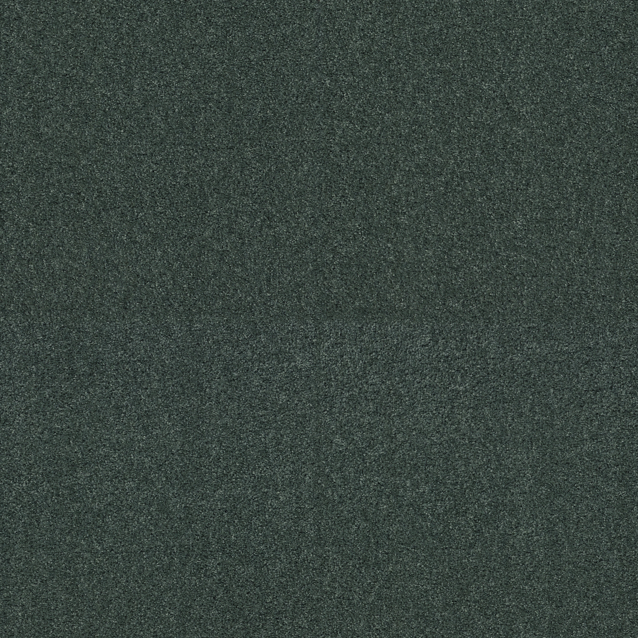 BEAUTIFULLY SIMPLE SEACLIFF HEIGHTS MAIN