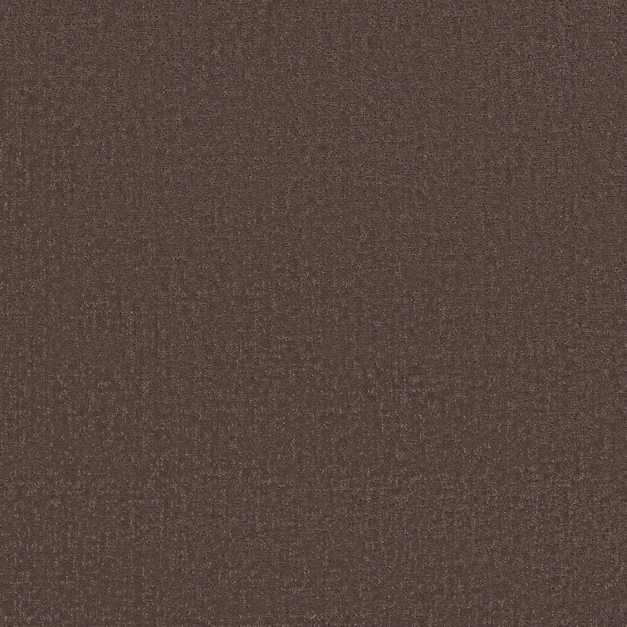 CANVAS COMFORT BLUE WINERY MAIN