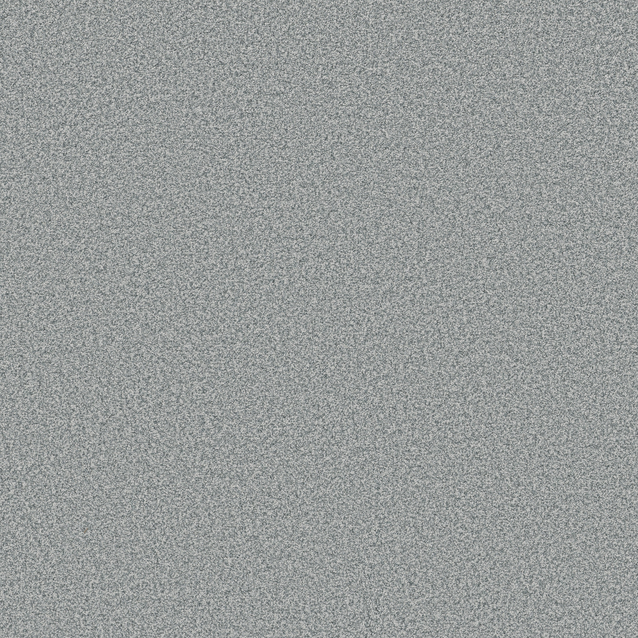 AVALON BAY CALYPSO MAIN