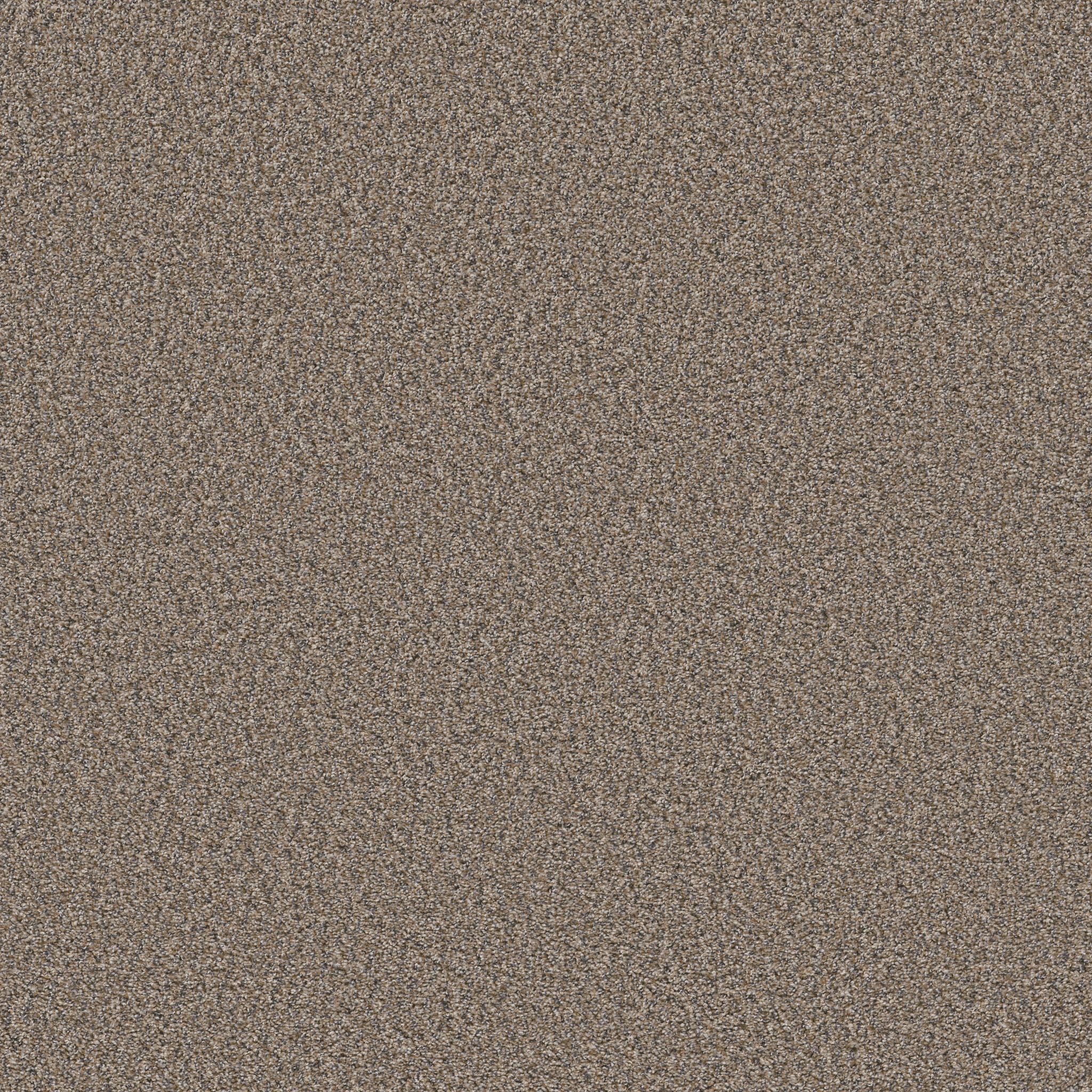 ALWAYS RIGHT I GOOSE FEATHER MAIN