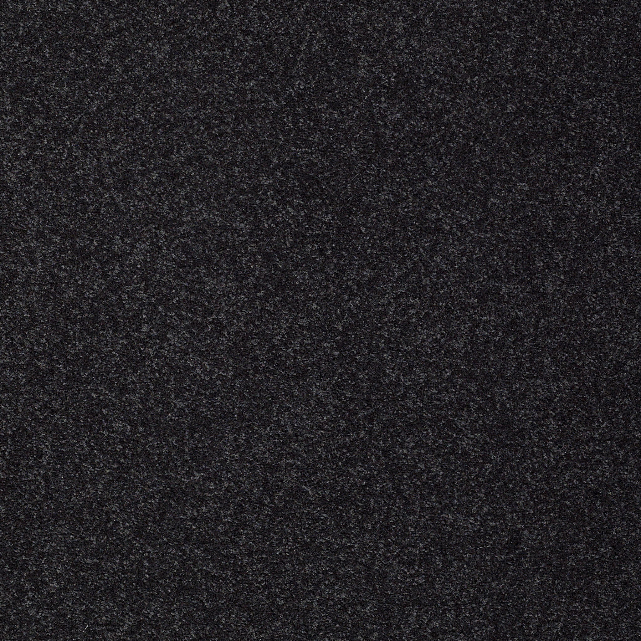 SHINGLE CREEK III 15' DEEP SEA MAIN