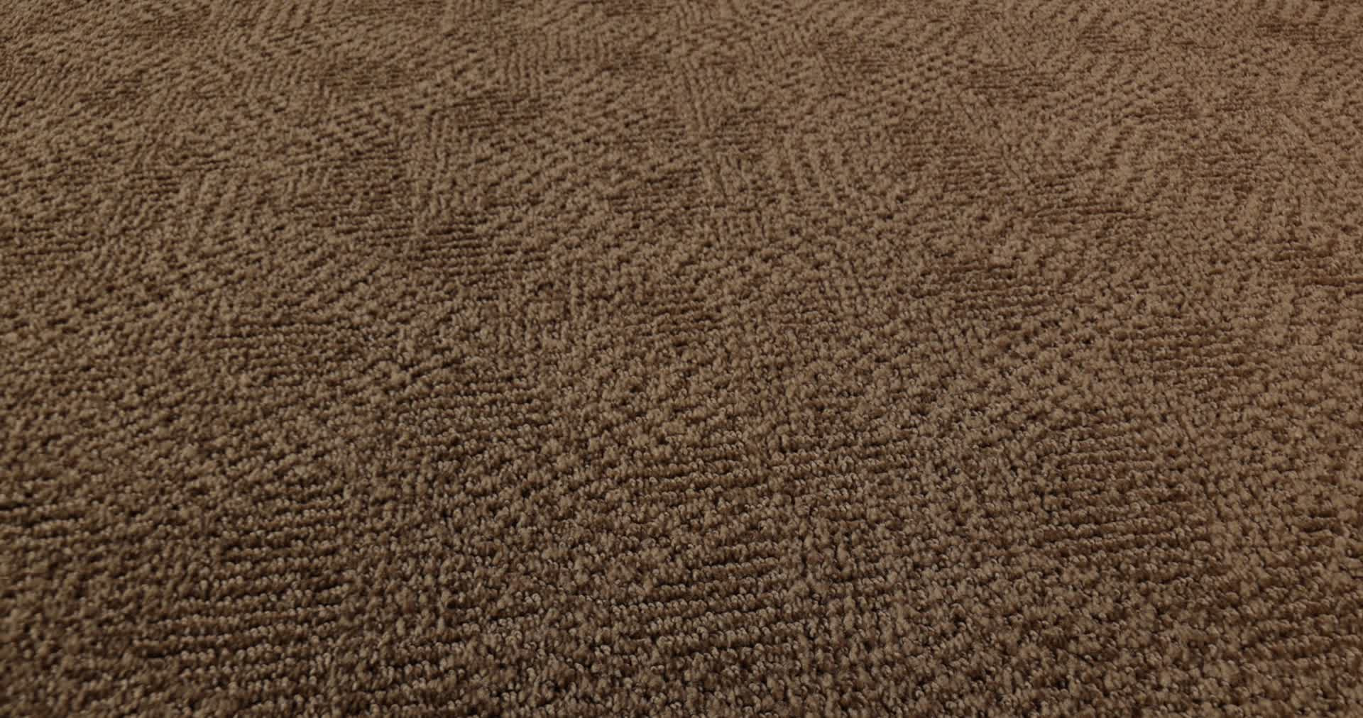 ARIO DESERT BEACH 360PROD