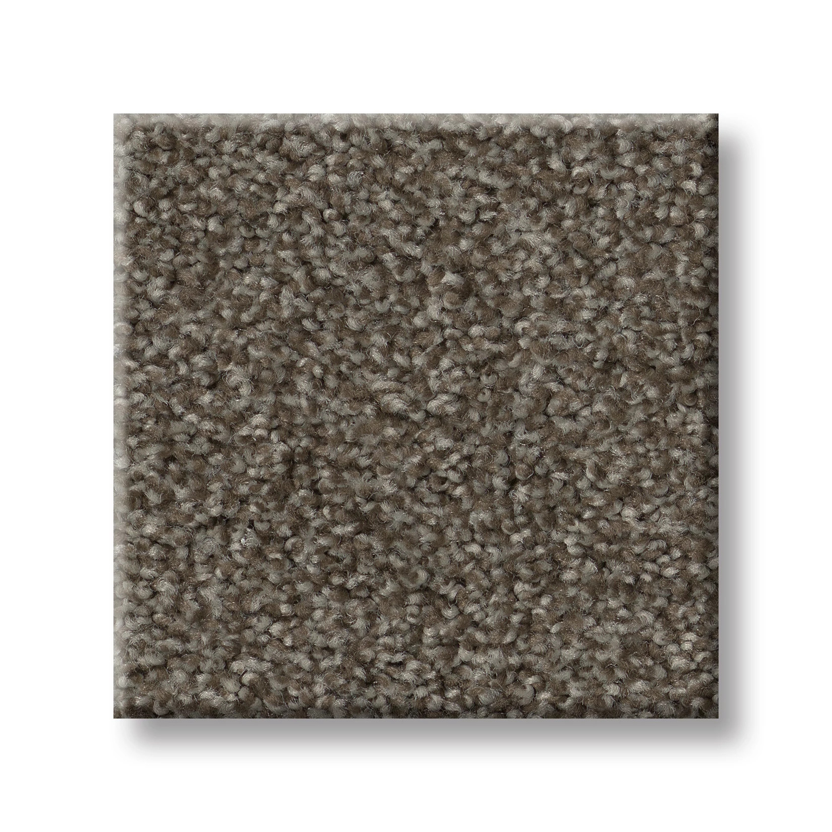 SWEET LIFE SADDLE SWATCH