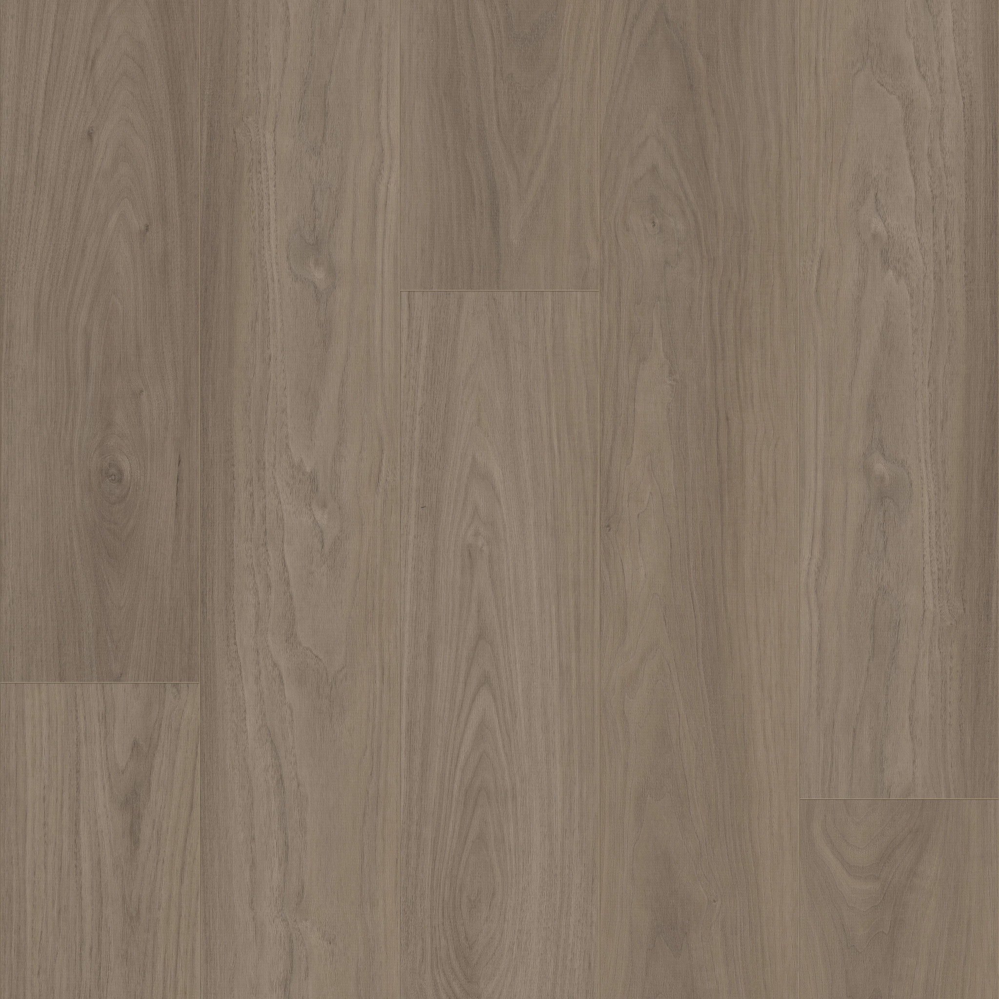 HOMEBOUND WOODLAND MIST MAIN