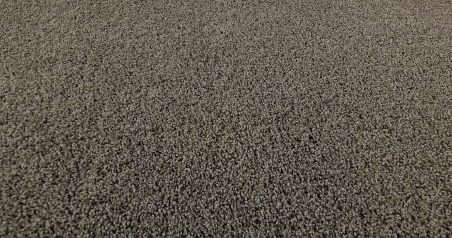 PARK HAVEN CITY GRAY 360PROD