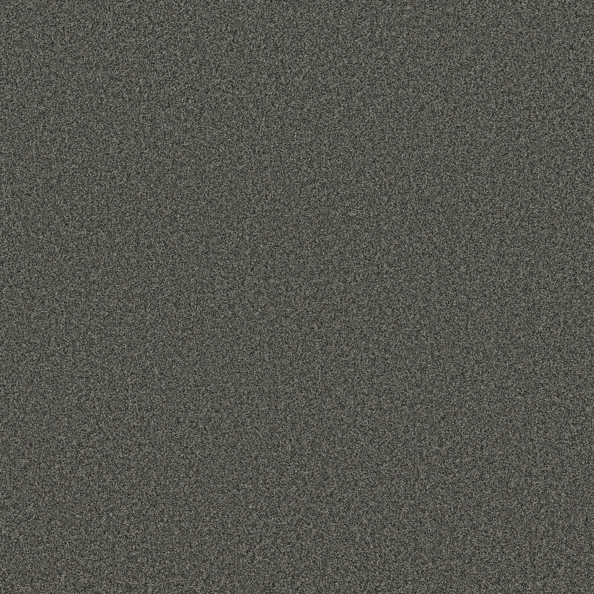 Fabulous - 100% ANSO® High Performance Nylon in Biscay