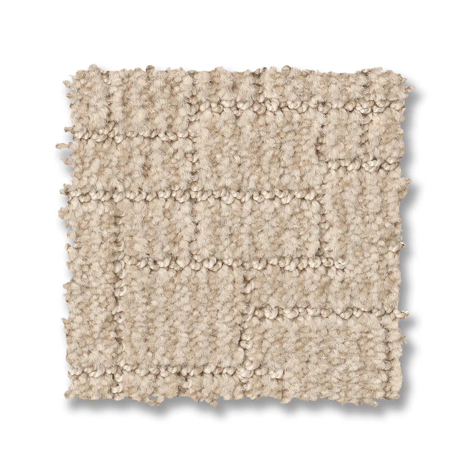 WAYFARER COTTON TAIL SWATCH