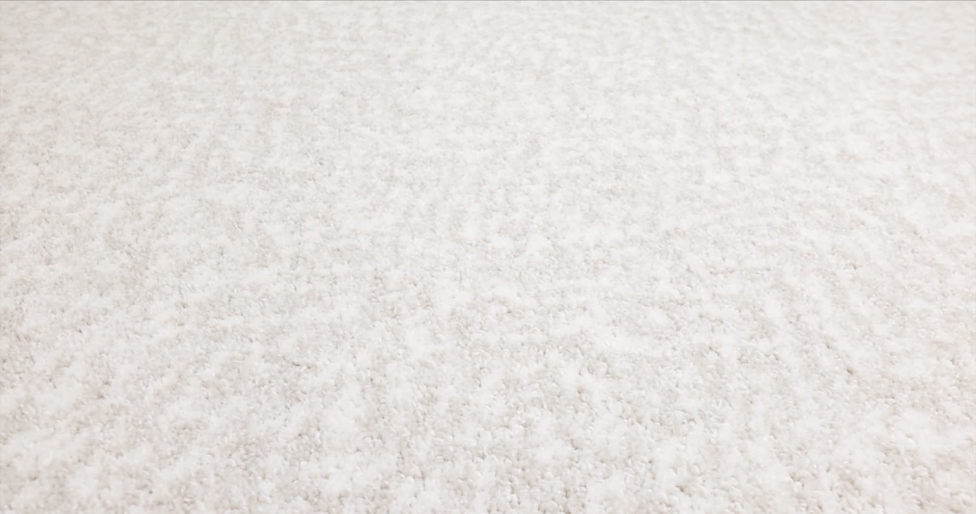 ALLURING CANVAS CHAMPAGNE TOAST 360PROD