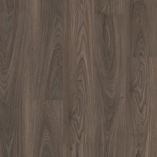 Dark Elm