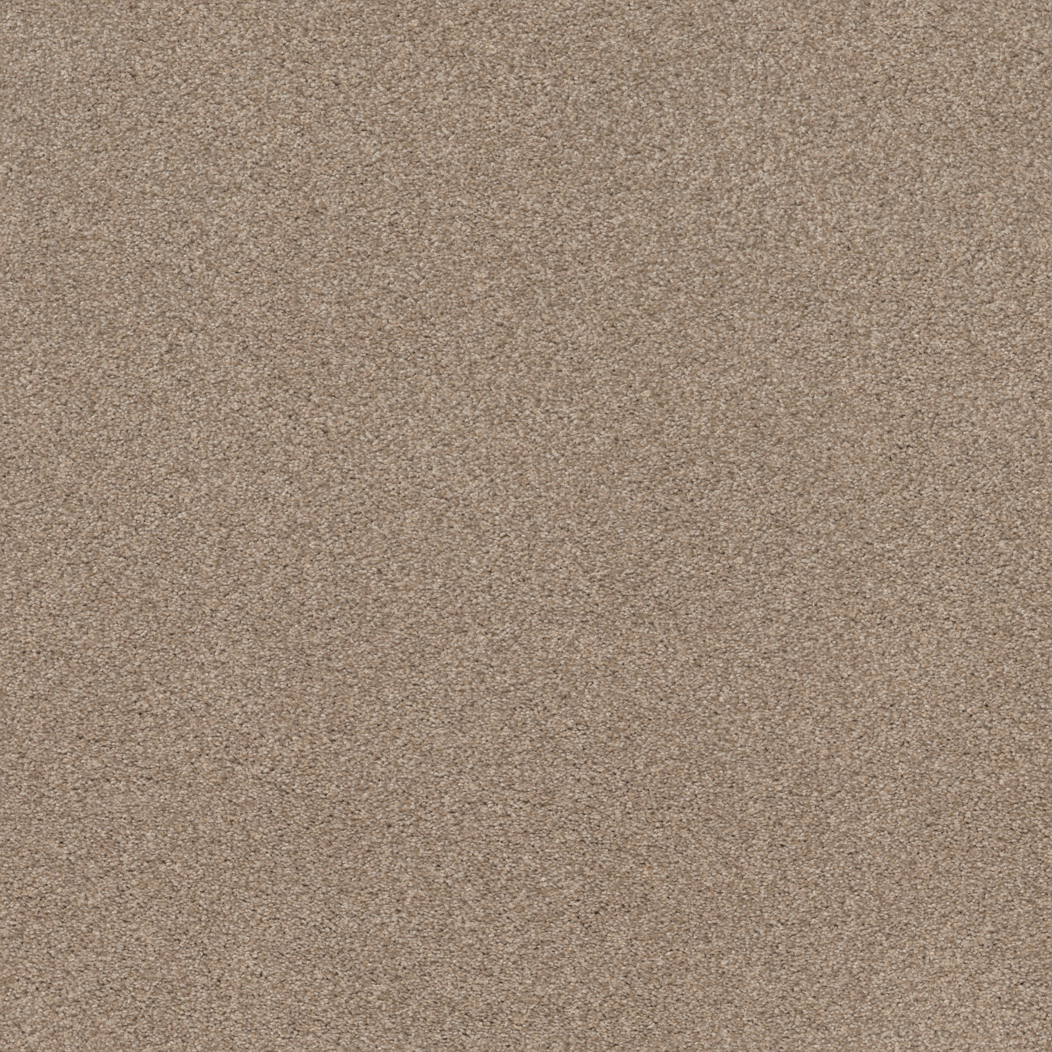 COZY HARBOR I NATURAL BEAUTY MAIN