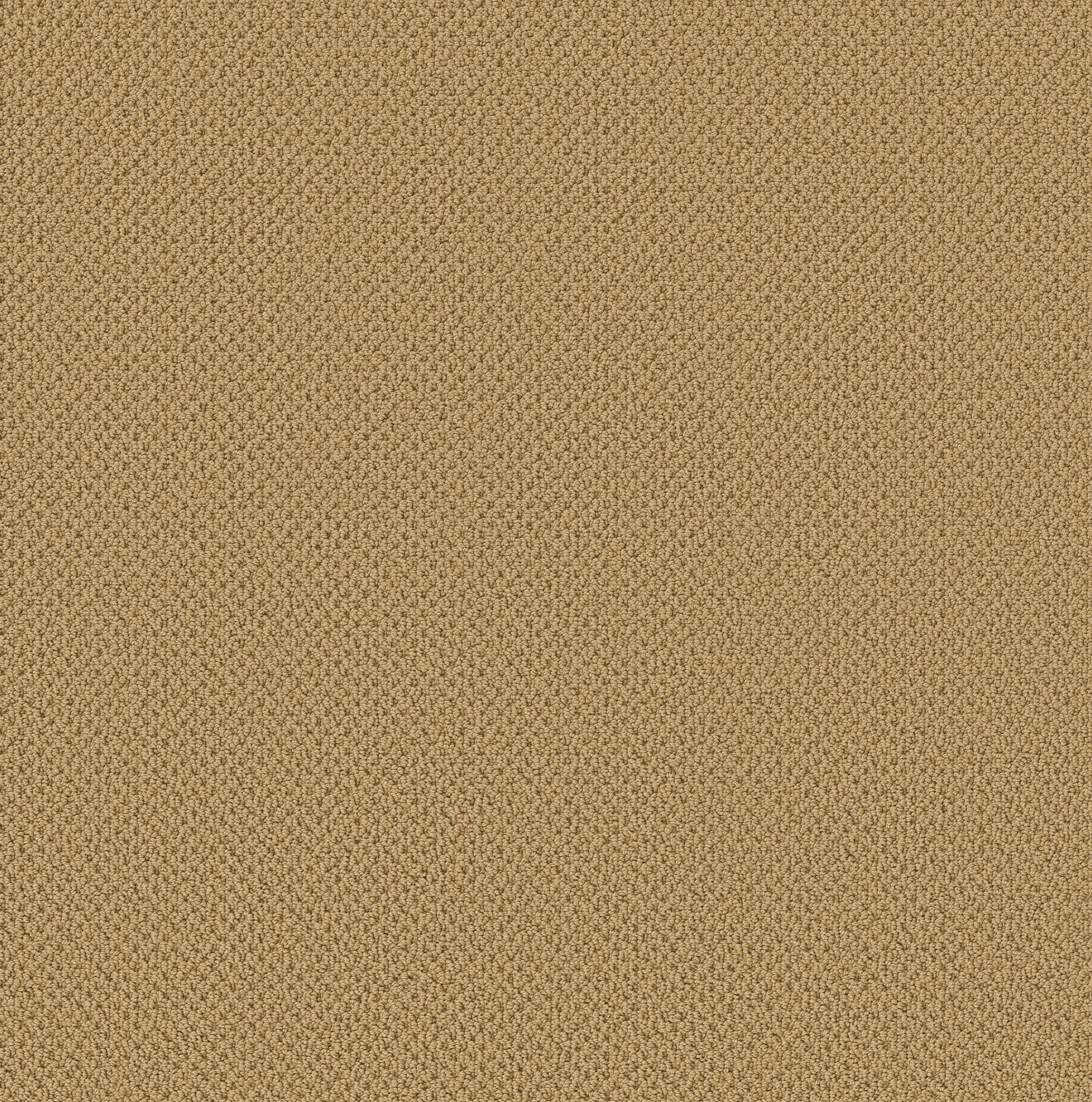 GRACIOUS SUMMER MAIN