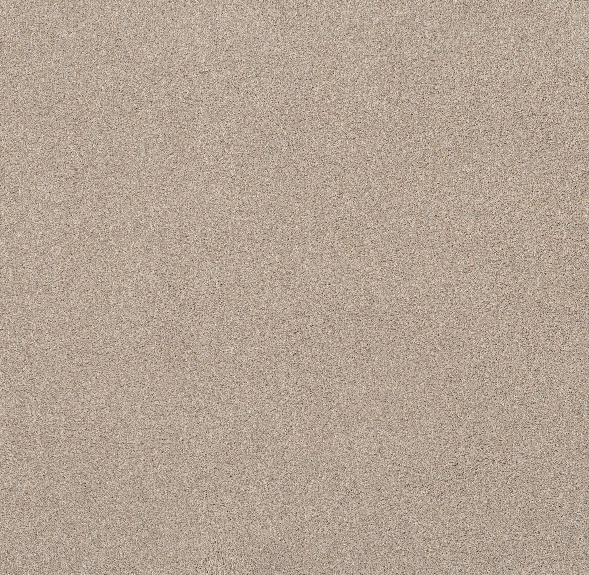 Live on Comfort NATURAL BLONDE MAIN