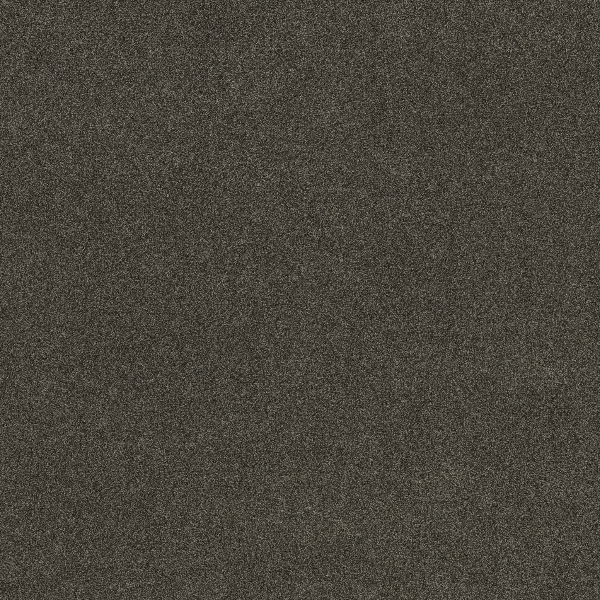 MAJORITY RULES RICH EARTH MAIN