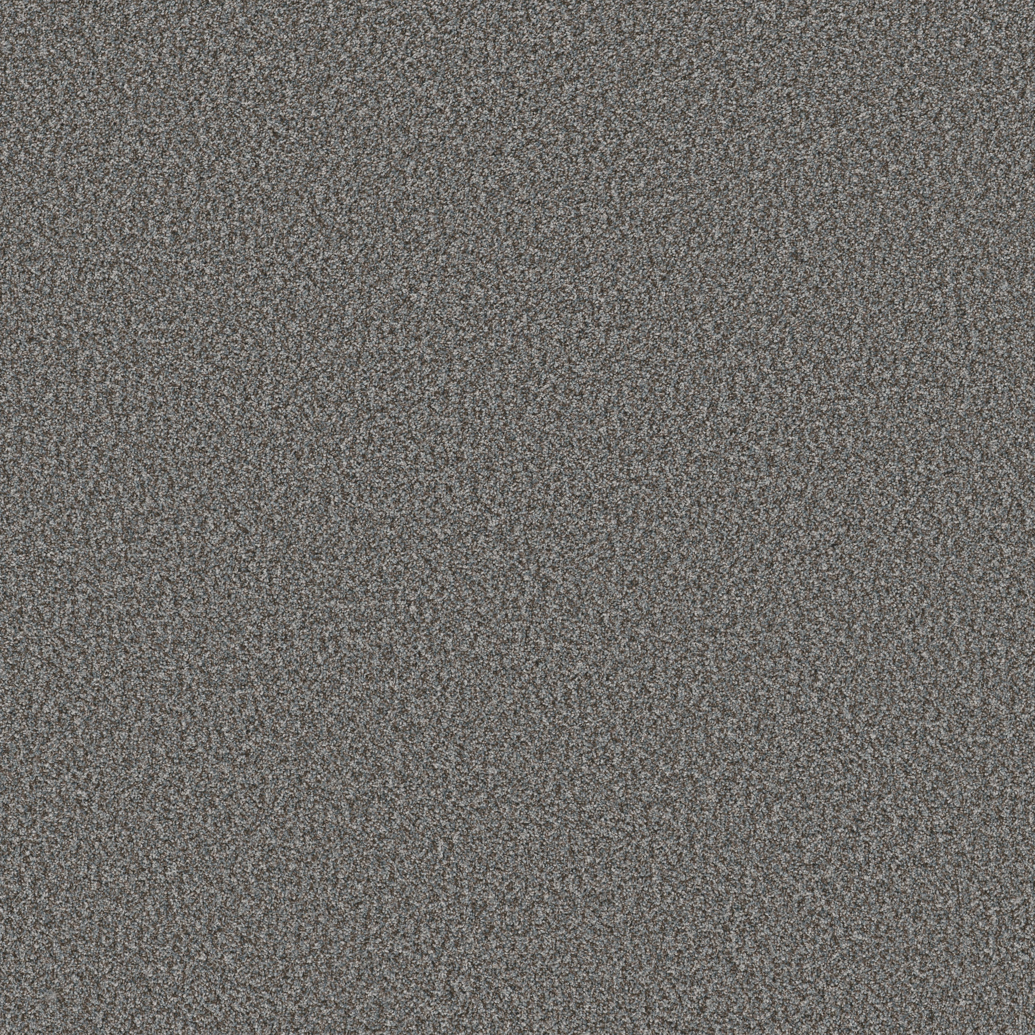 RENEWED ENERGY II PARIS SKY MAIN