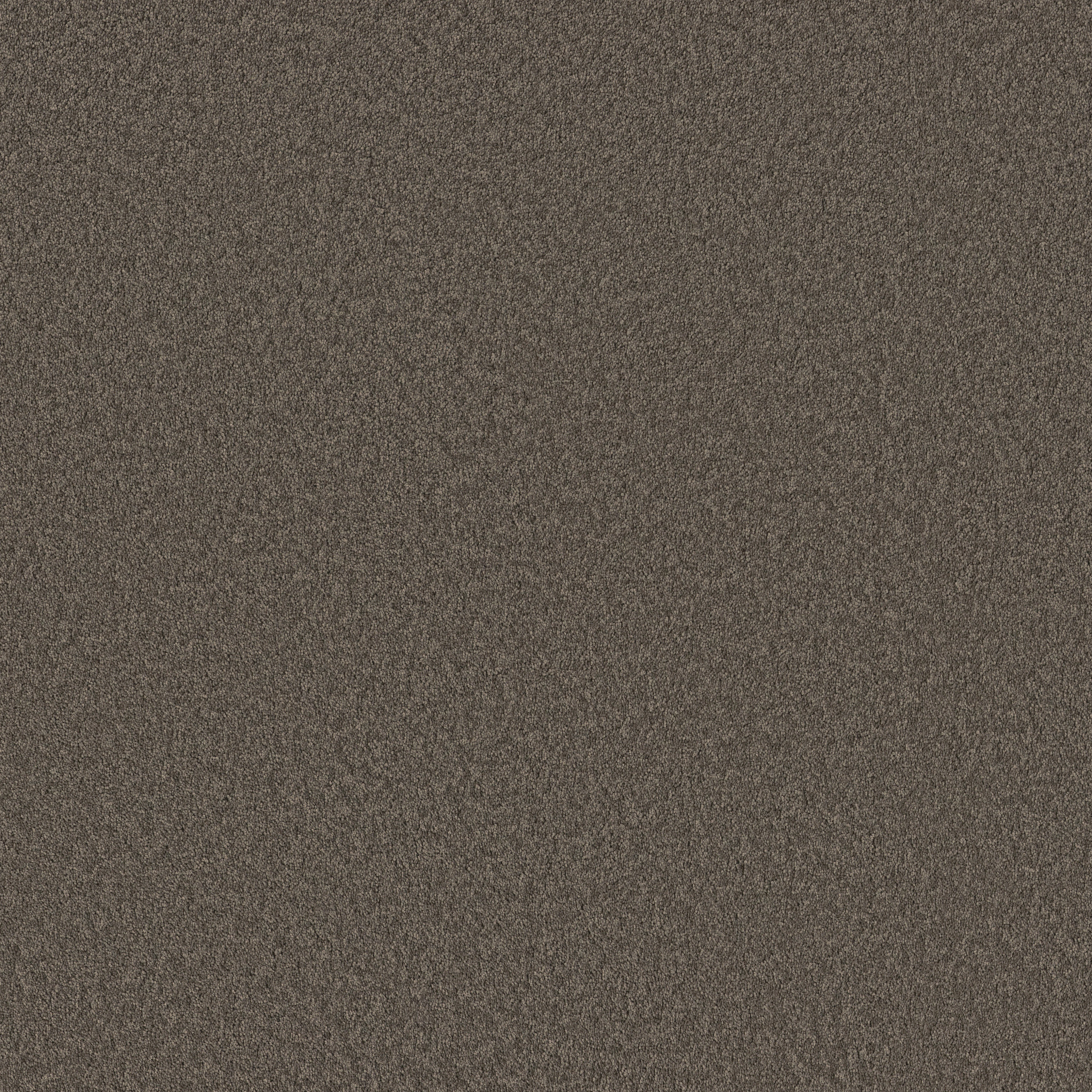 VELVET TOUCH II ASHES MAIN