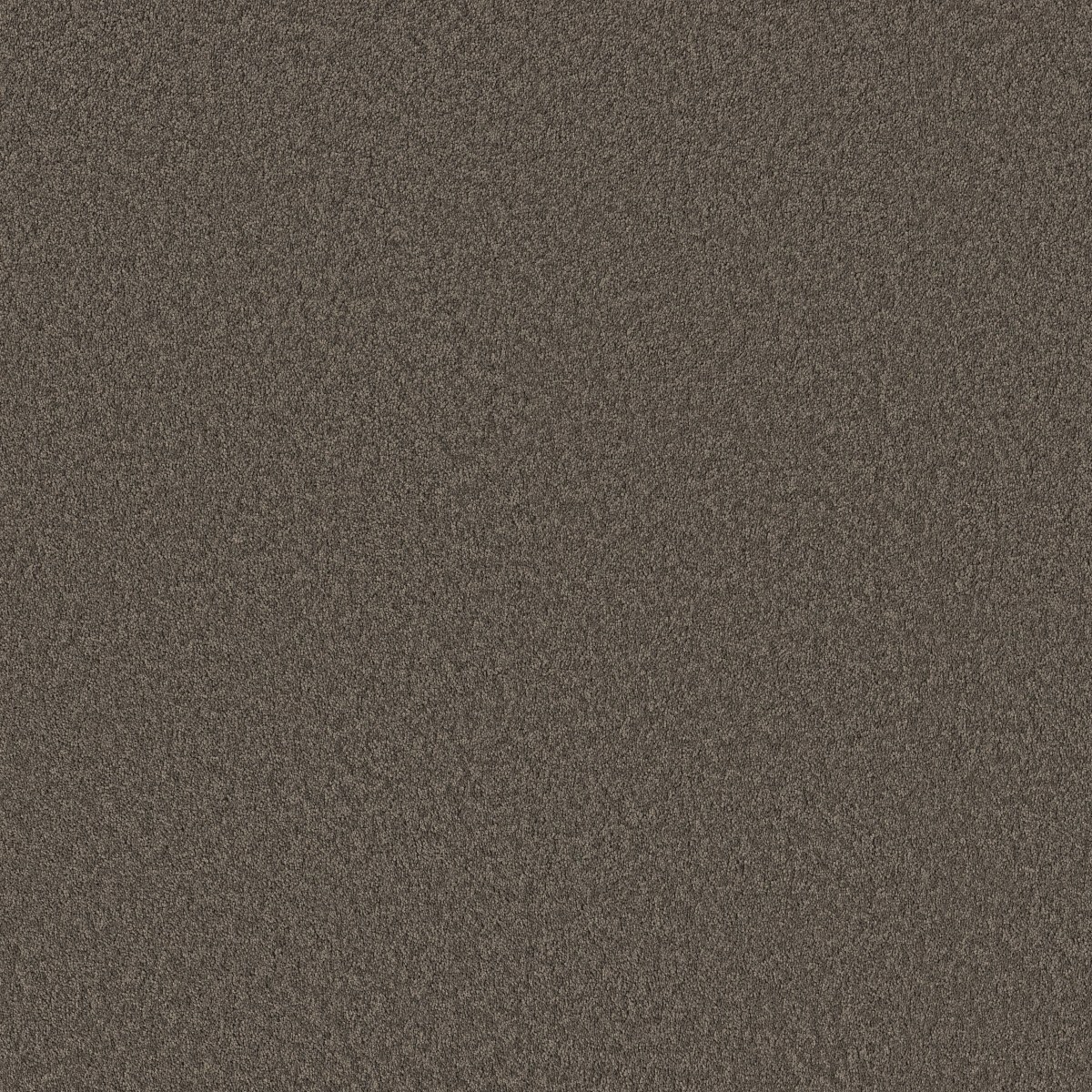 Shaw Floors VELVET TOUCH II — ASHES