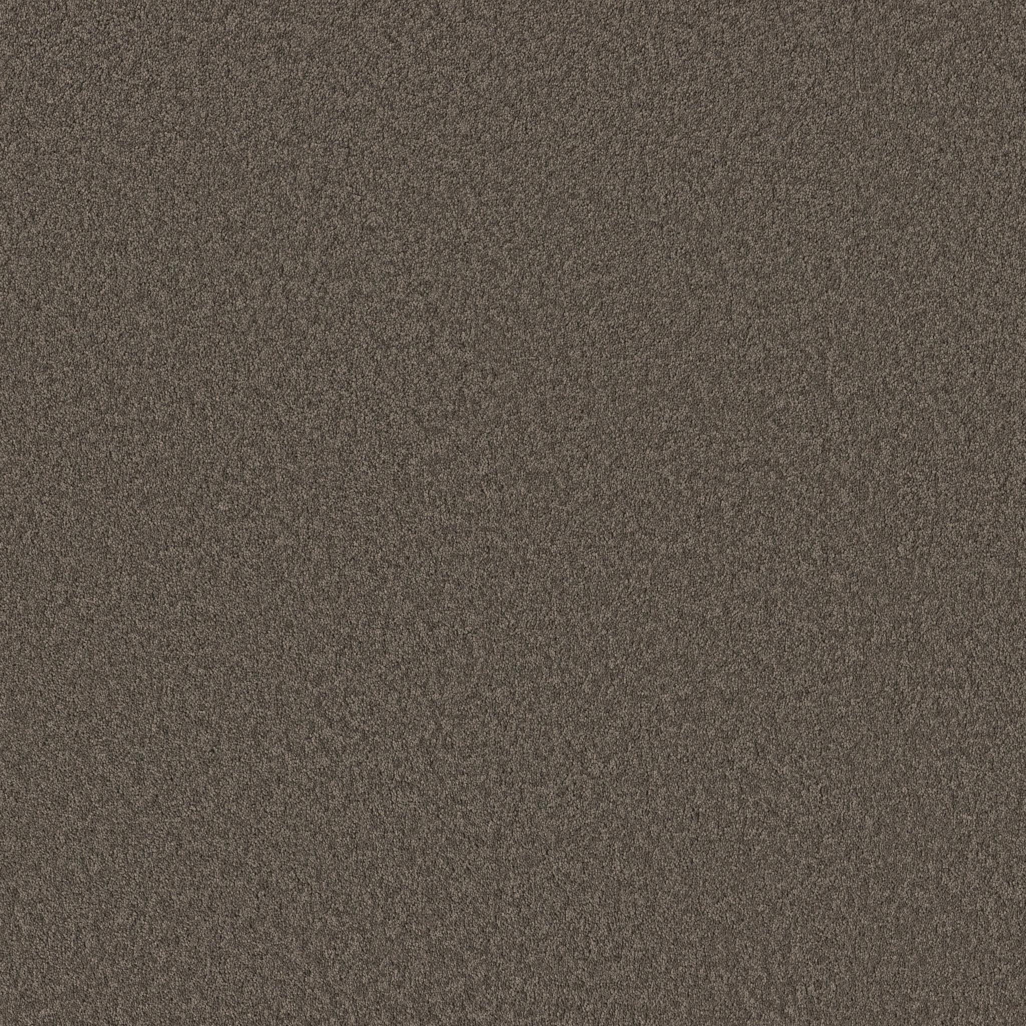 Velvet Touch II in Ashes