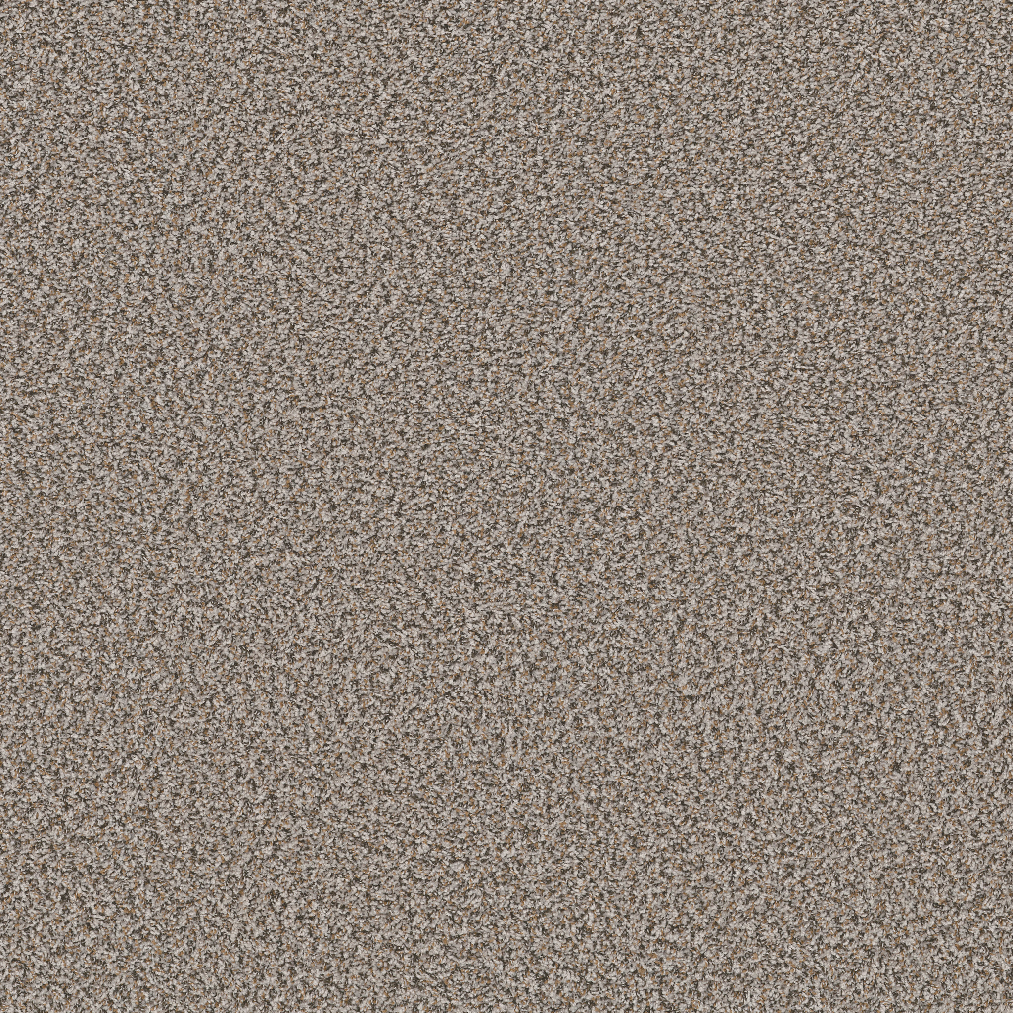 Break Away - Berber DOLPHIN MAIN