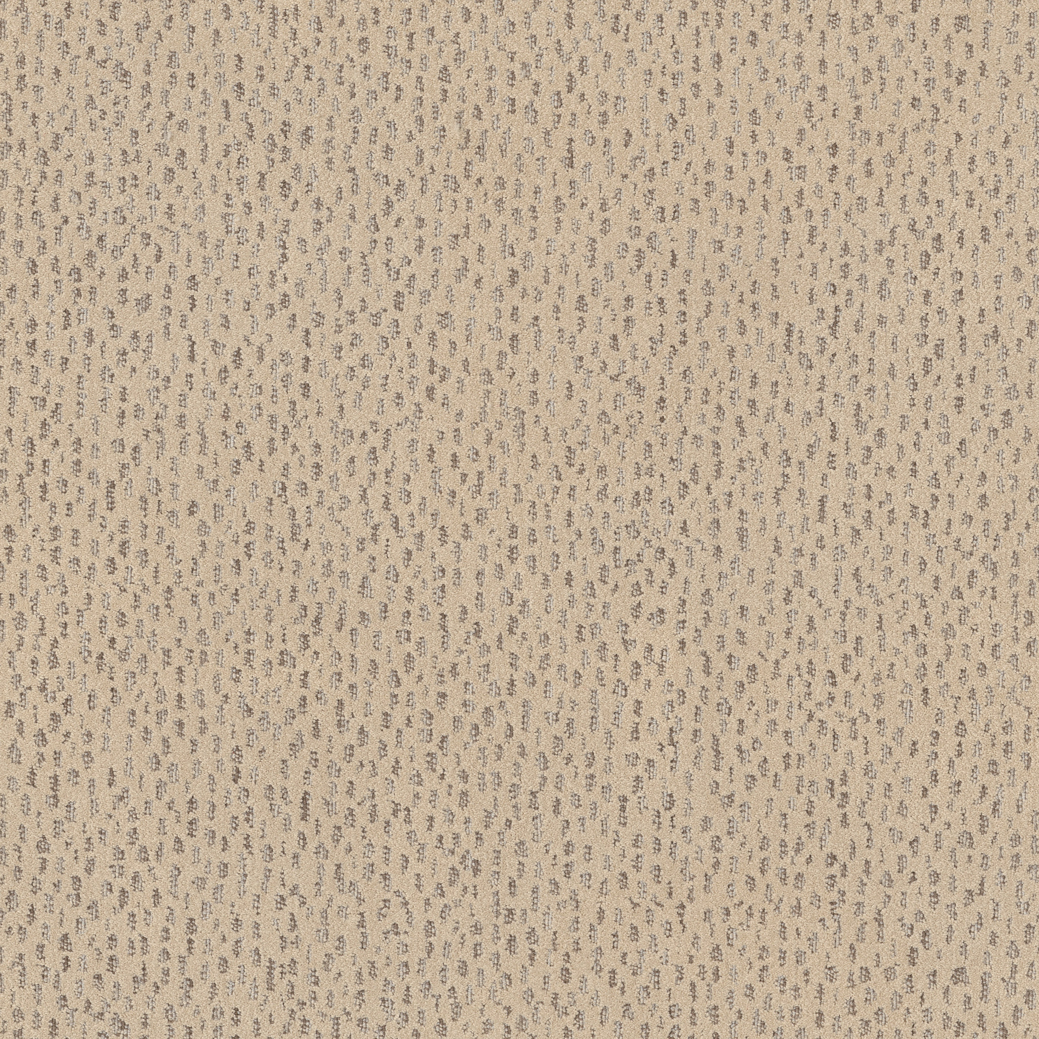 AMBITIOUS LAMP GLOW MAIN