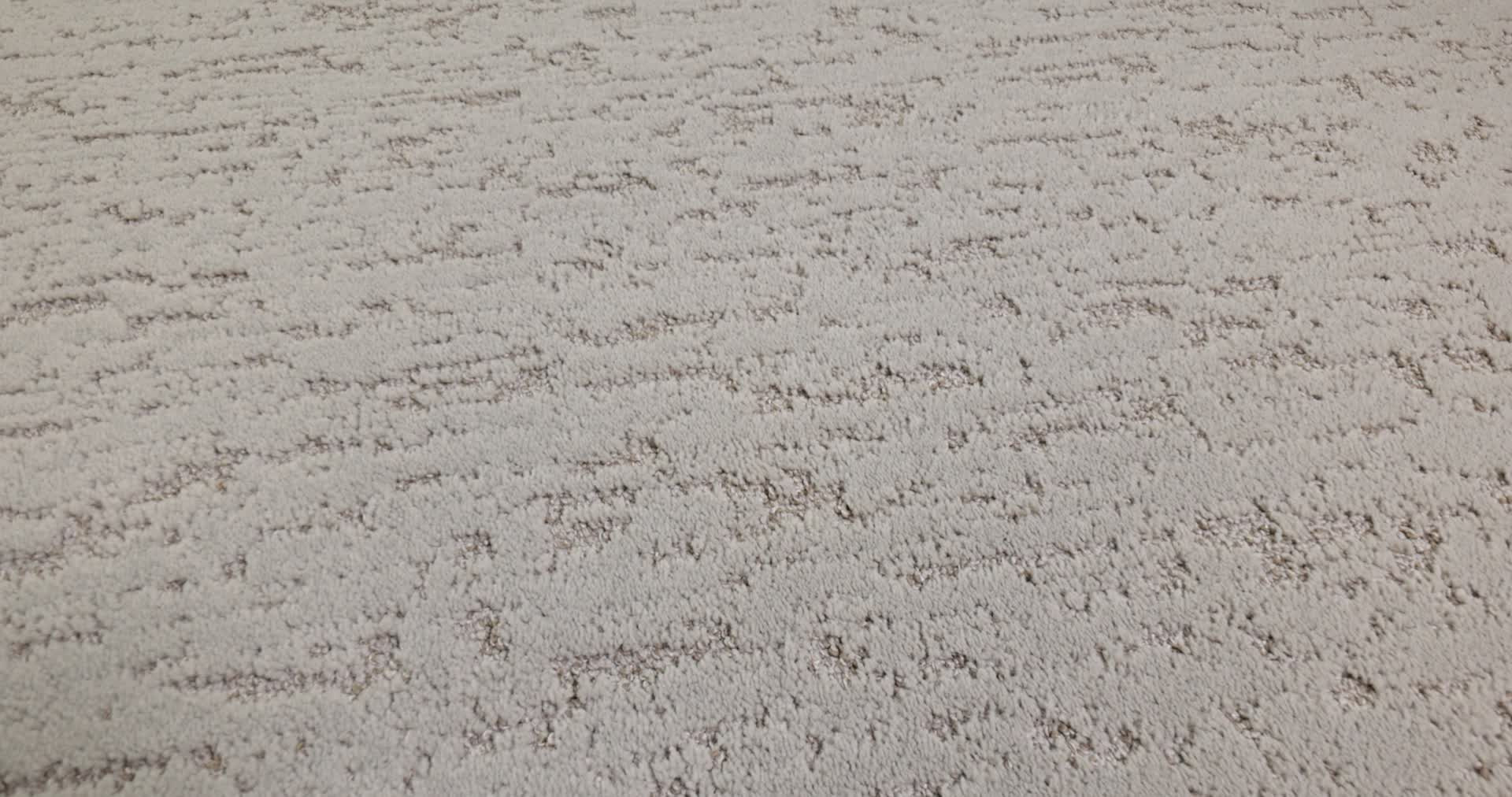 CALM EXPRESSION PLASTER 360PROD