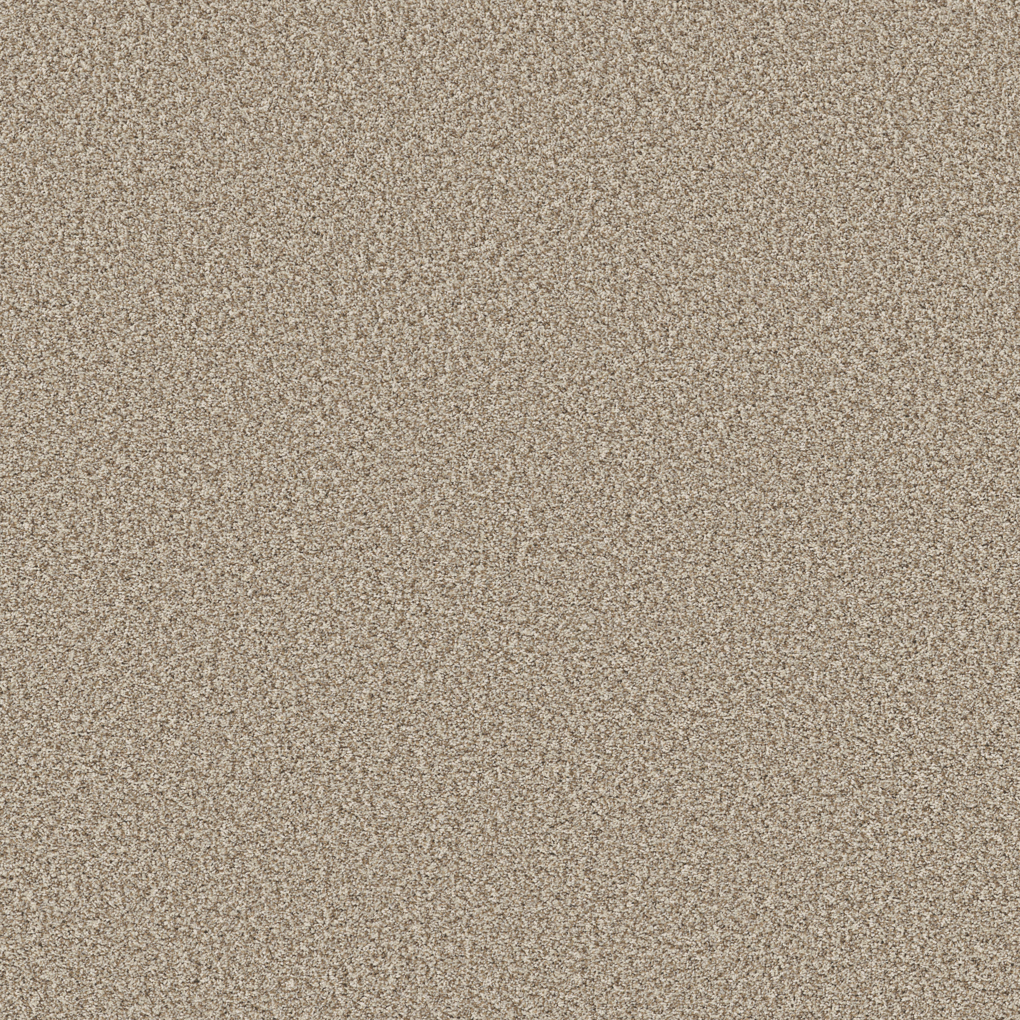 PRESCOTT VALLEY MEDITATION MAIN