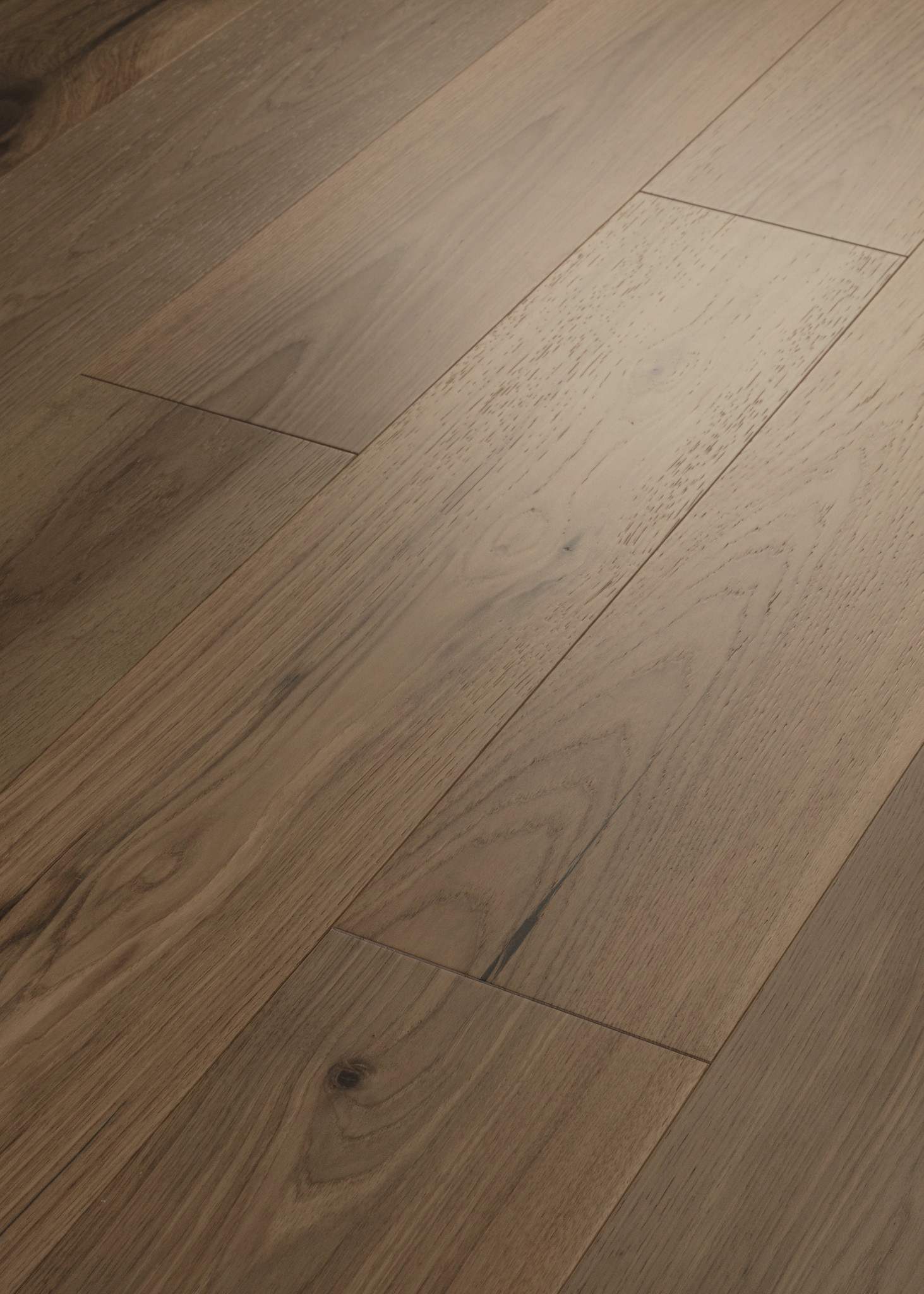 TRANSCENDENCE EPITOME ANGLED