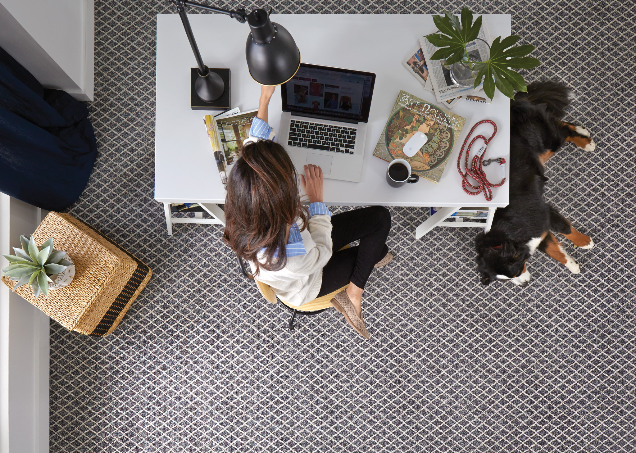 SPRINGER'S POINT SEAPORT BLUE StaticImage04