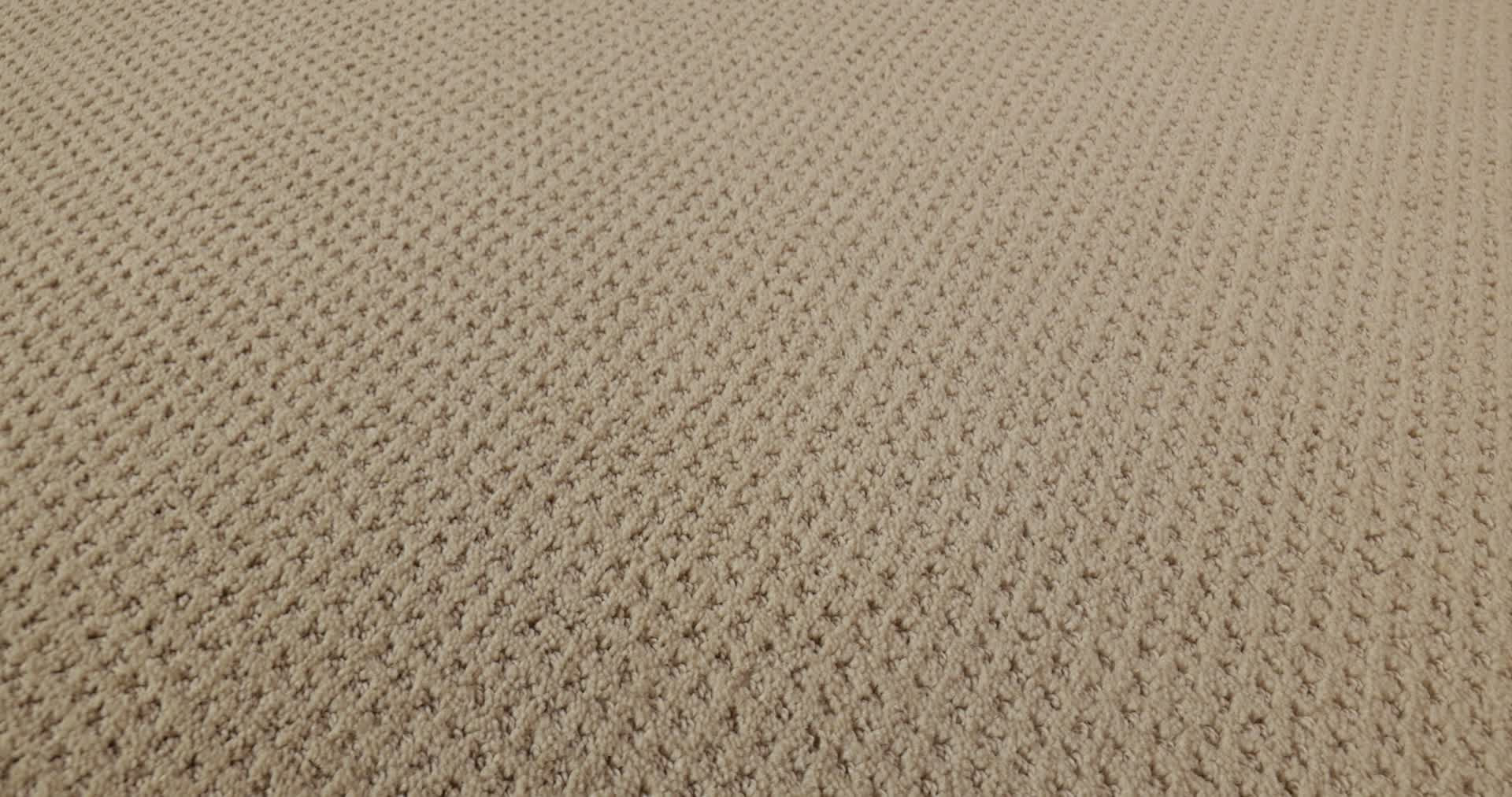 GENESIS DUNES 360PROD