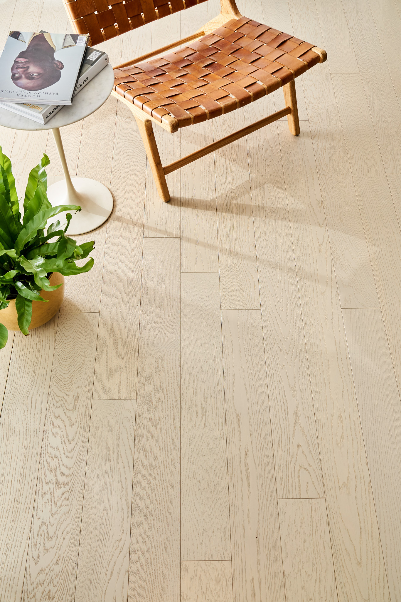 Refined Oak Cultivated Oak Feature 1