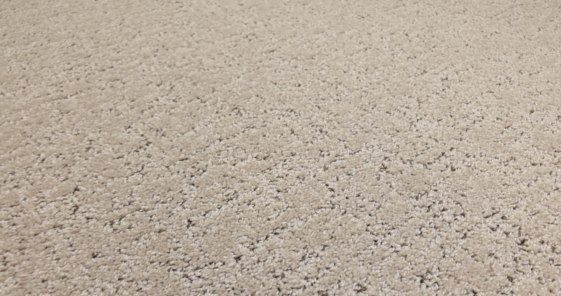 Run Free CAMEO 360PROD