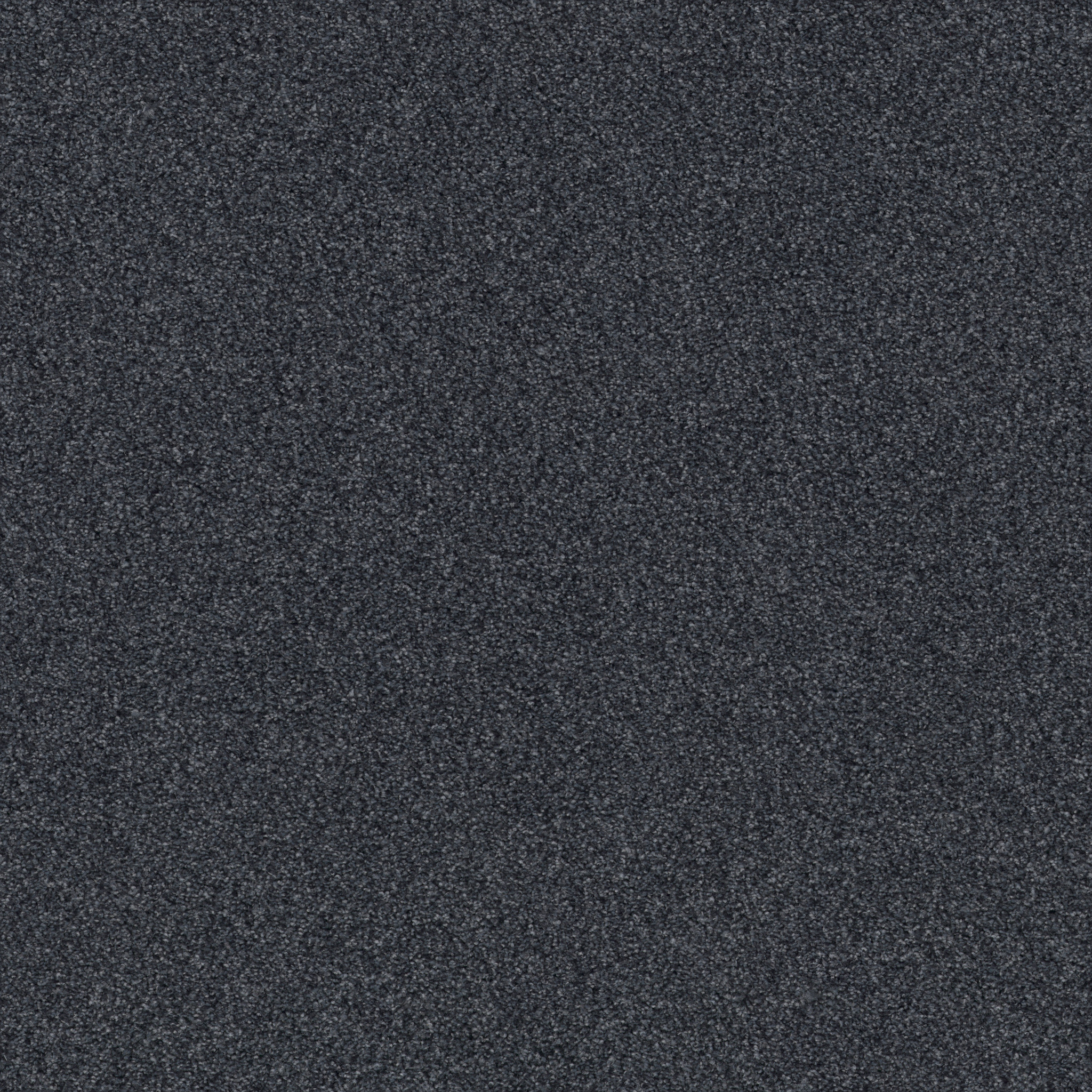 COZY HARBOR II DEEP SEA MAIN