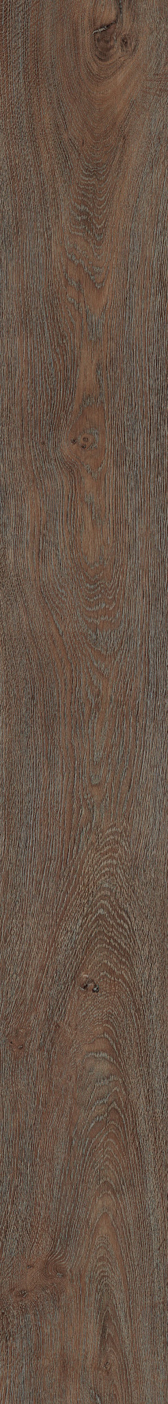 JASPER OAK 01 1TO1