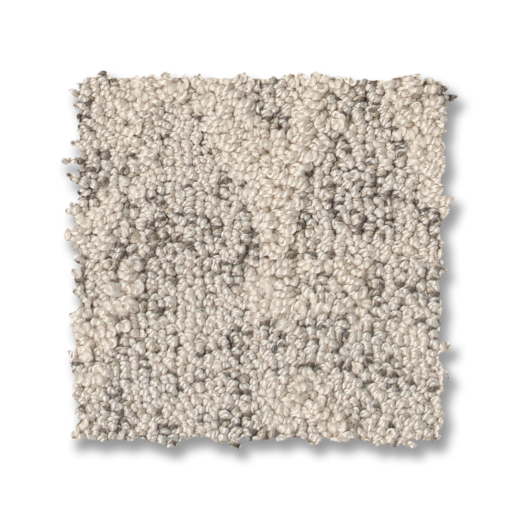 ILLUMINATION POSH SWATCH