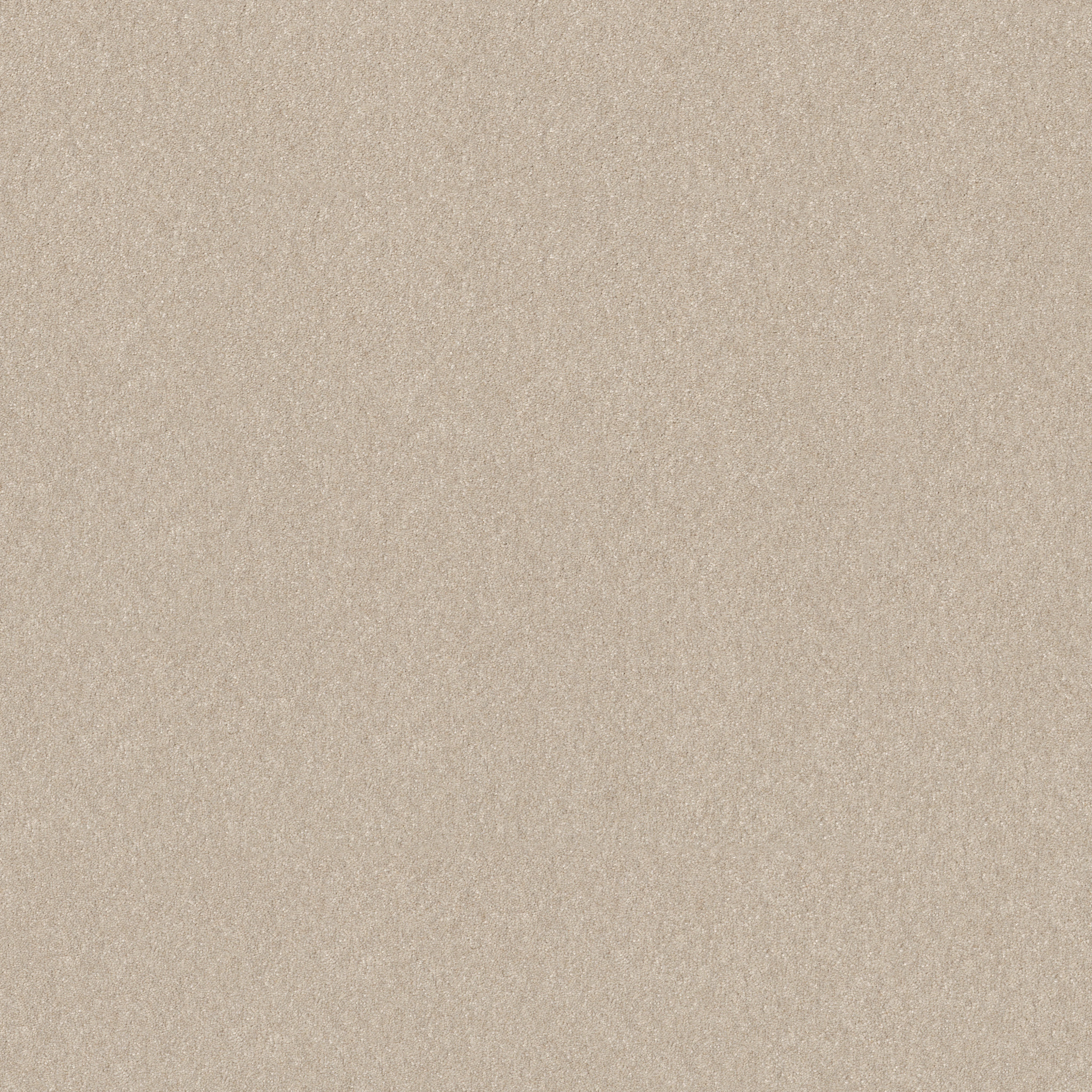 HARD AT PLAY III 15' WARM LIGHT MAIN