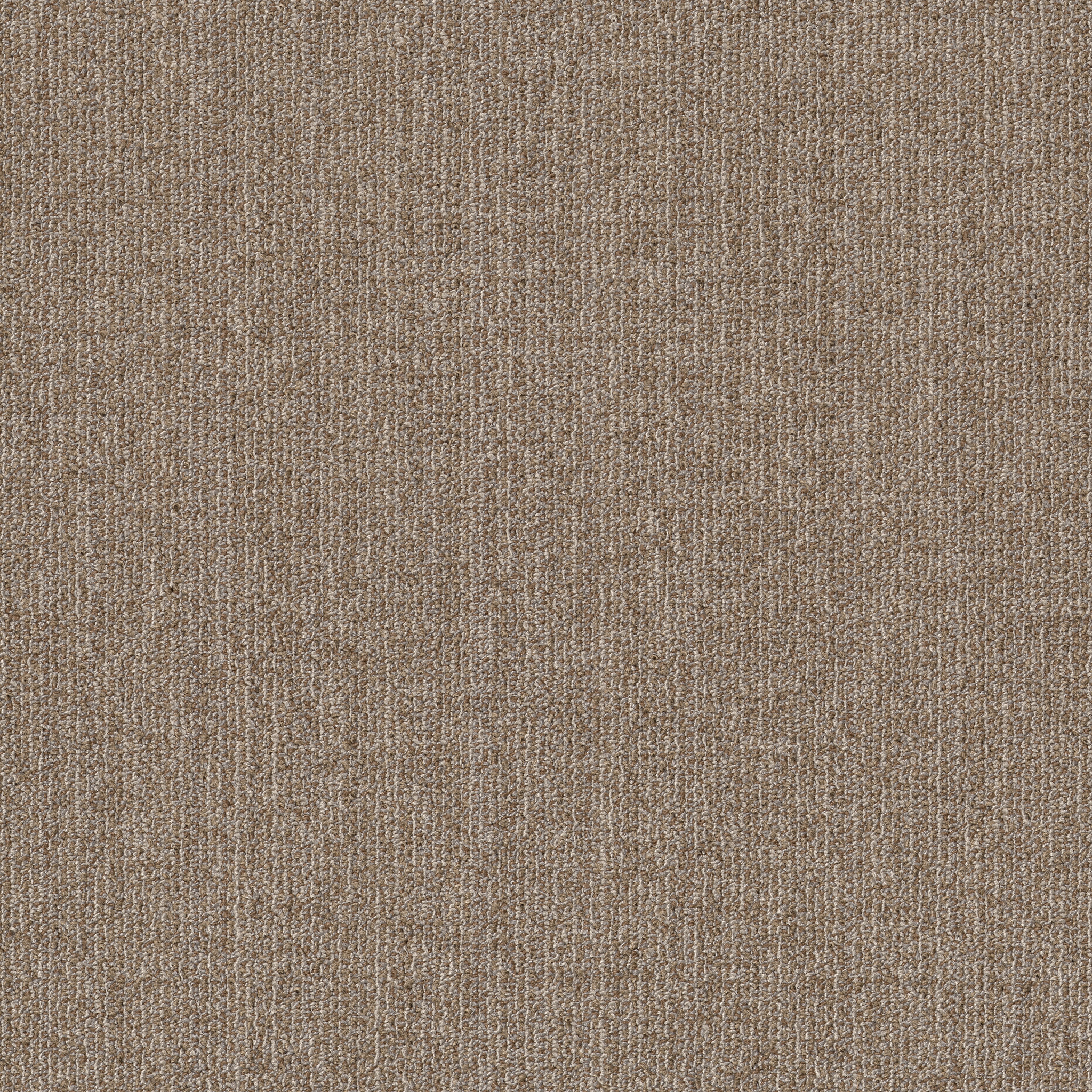 MUTED-RHYTHMS-TL-55013-FLAXEN-00202-main-image