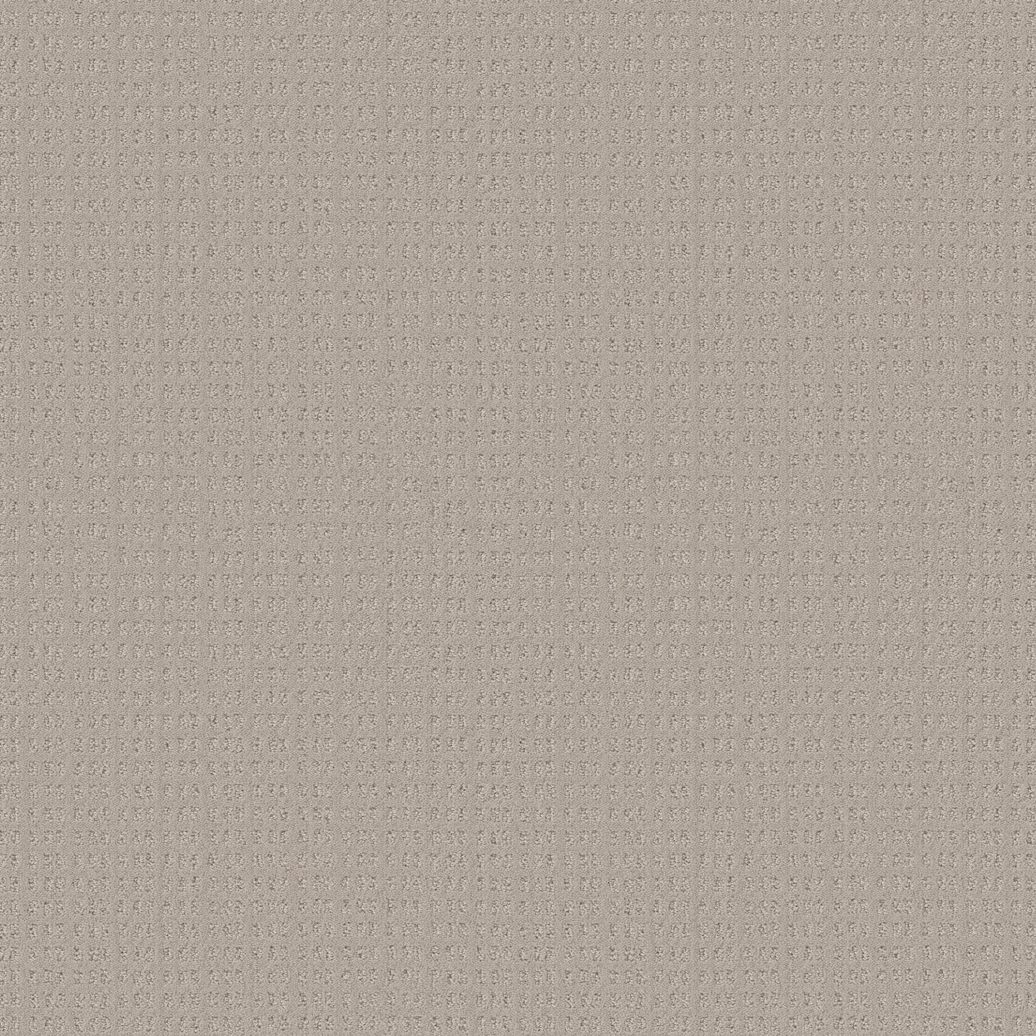 ESSENTIAL NOW FOSSIL PATH MAIN