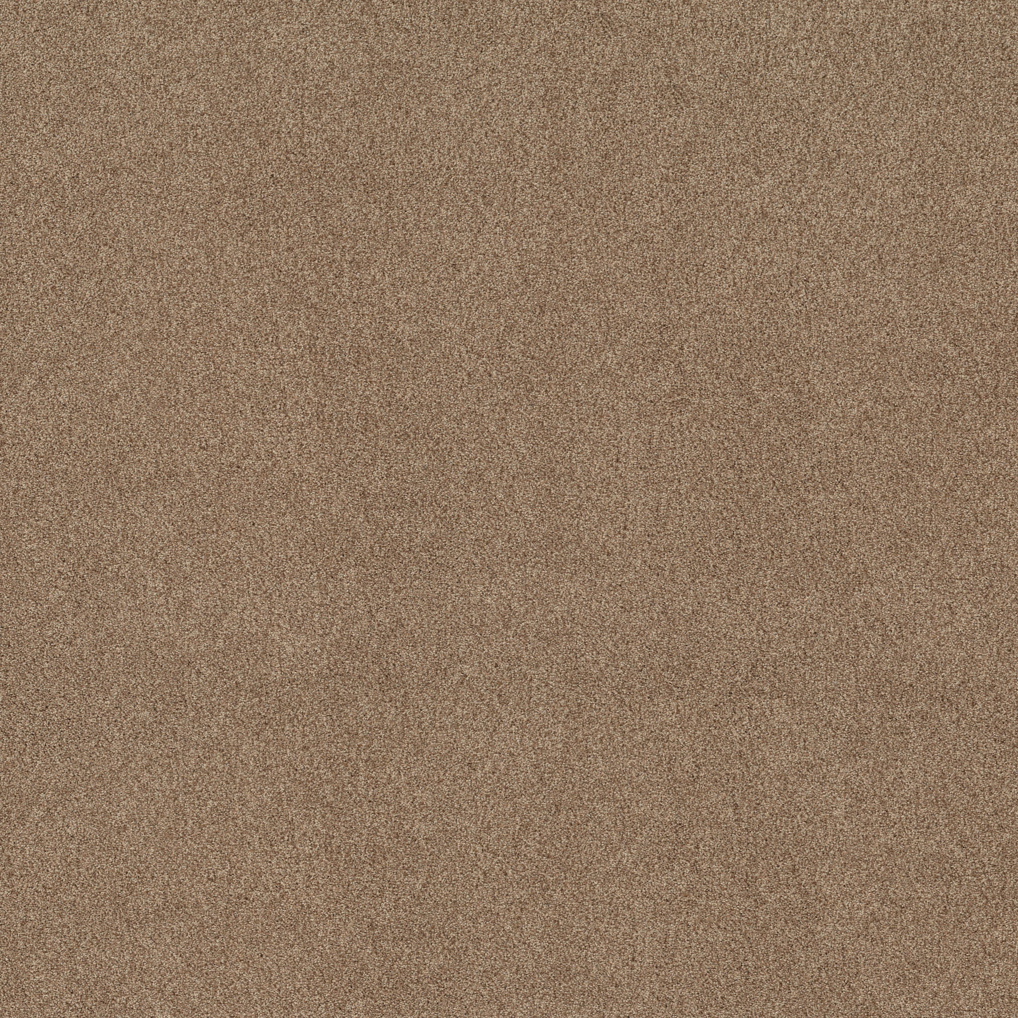 TONAL COMFORT I FALLING LEAVES MAIN