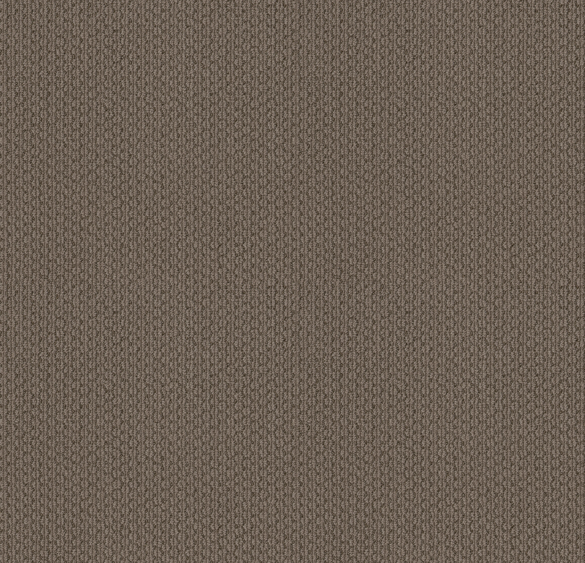 AG In The Loop MUSHROOM MAIN