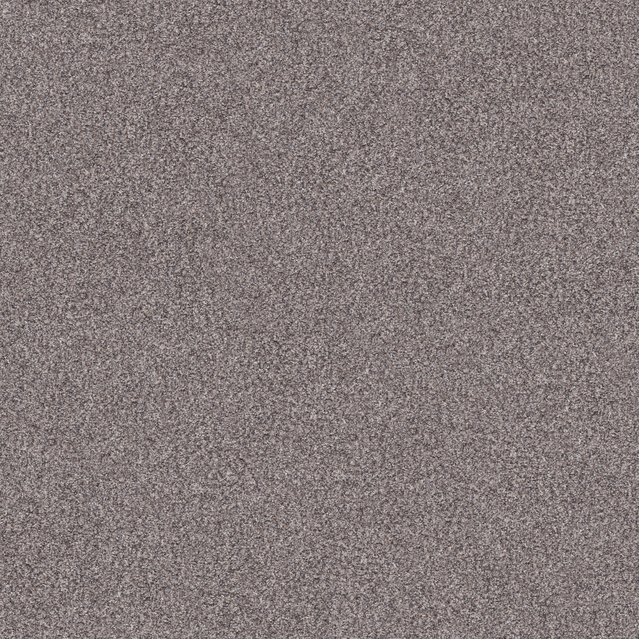 INLET SHORE II 12' OVERCAST MAIN