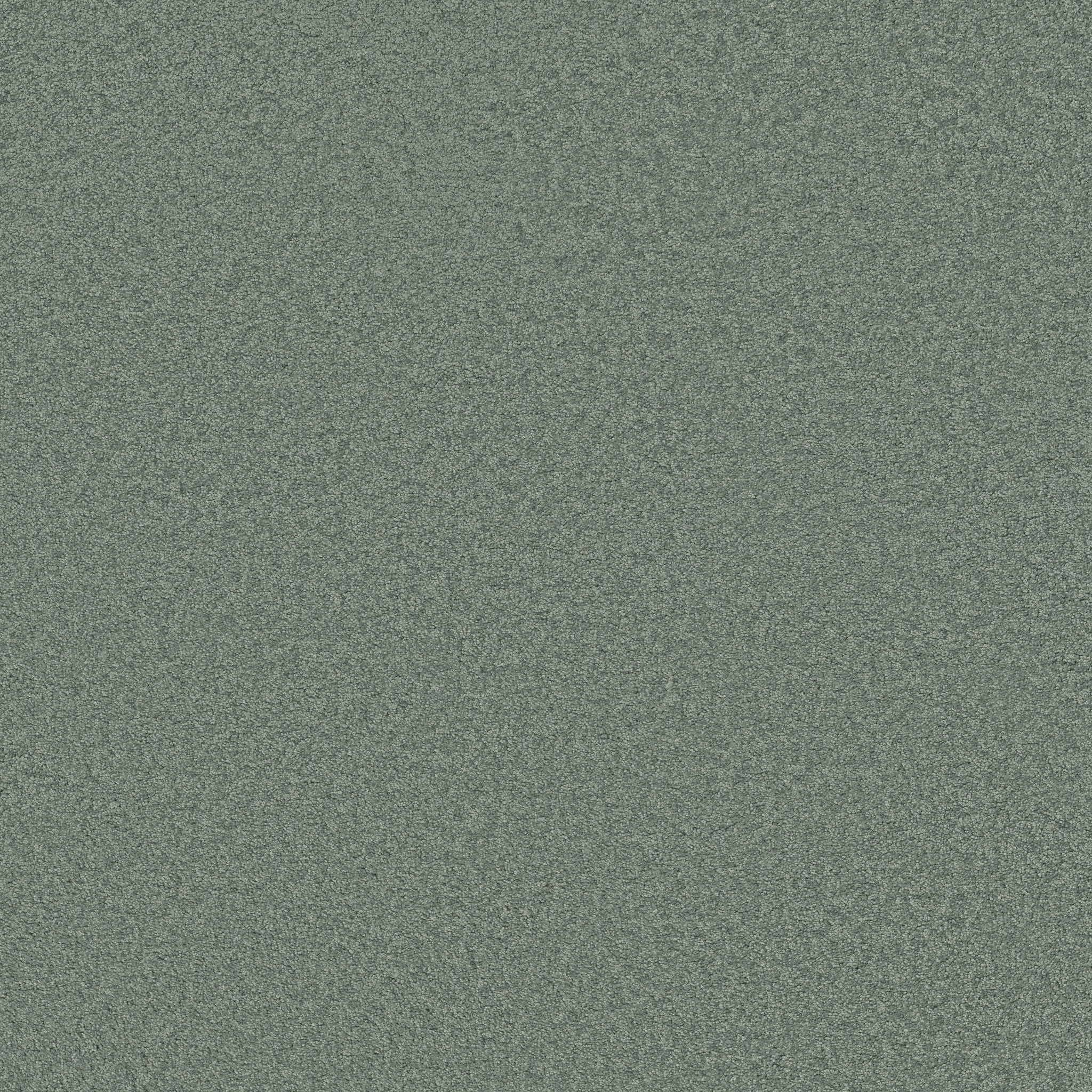 ENDURING COMFORT III FAIRY TALE MAIN