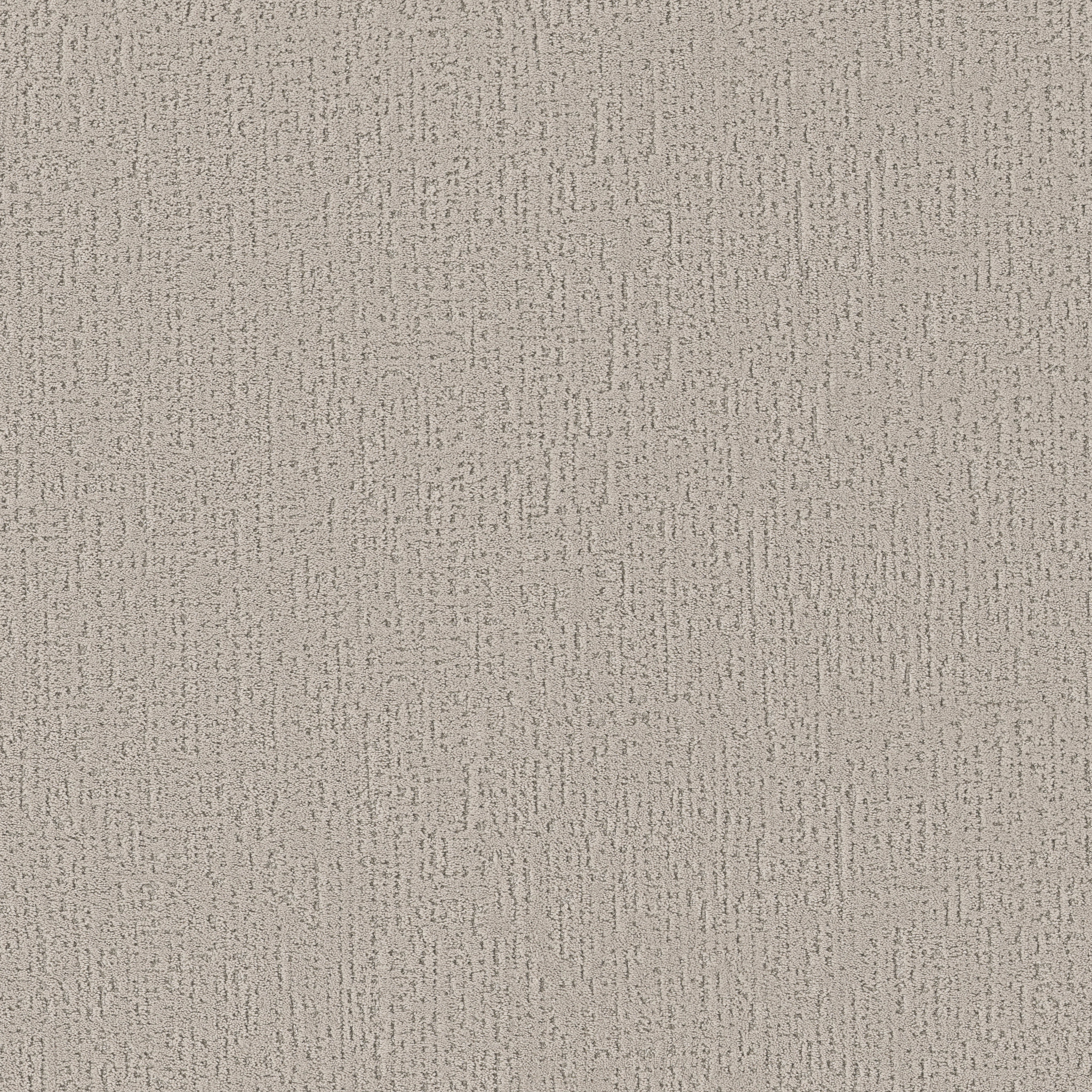 CURATED TONE COOL WINTER MAIN