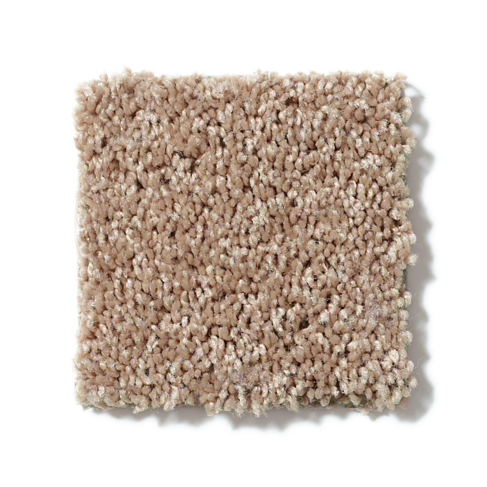 ELLENDALE 15' CIDER SWATCH